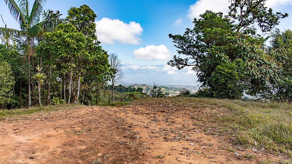 0 bed Land For Sale in Uvita, Puntarenas - thumb 14