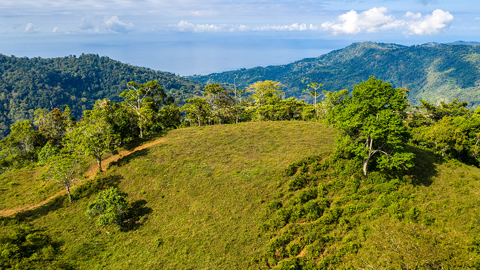 0 bed Land For Sale in Uvita, Puntarenas - thumb 3