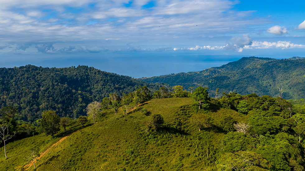 0 bed Land For Sale in Uvita, Puntarenas - thumb 1