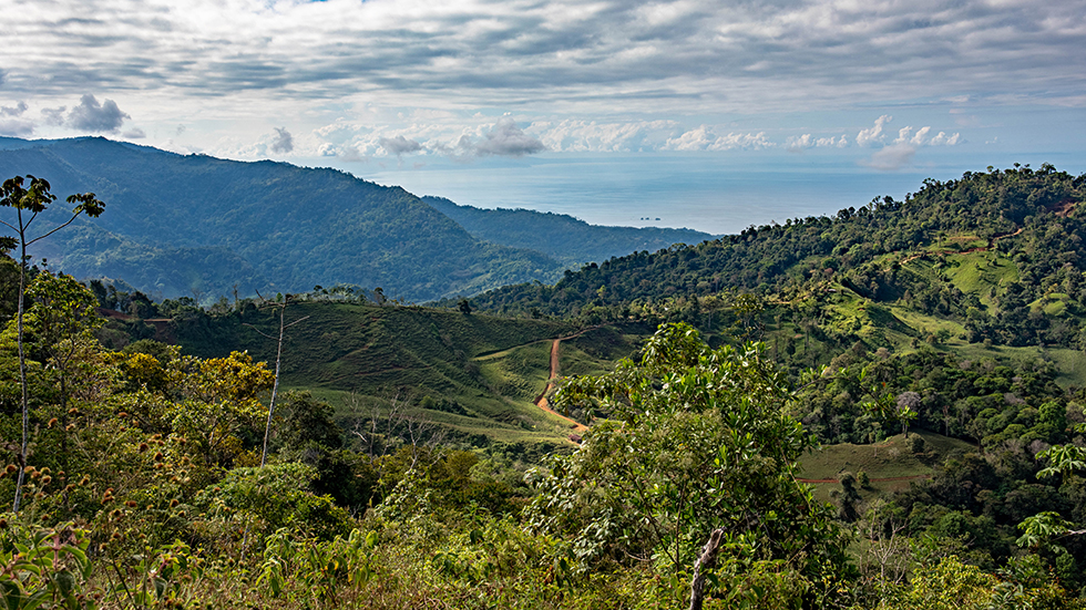 0 bed Land For Sale in Uvita, Puntarenas - thumb 5