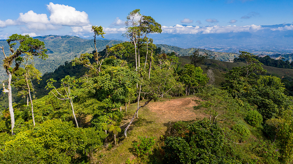 0 bed Land For Sale in Uvita, Puntarenas - thumb 9