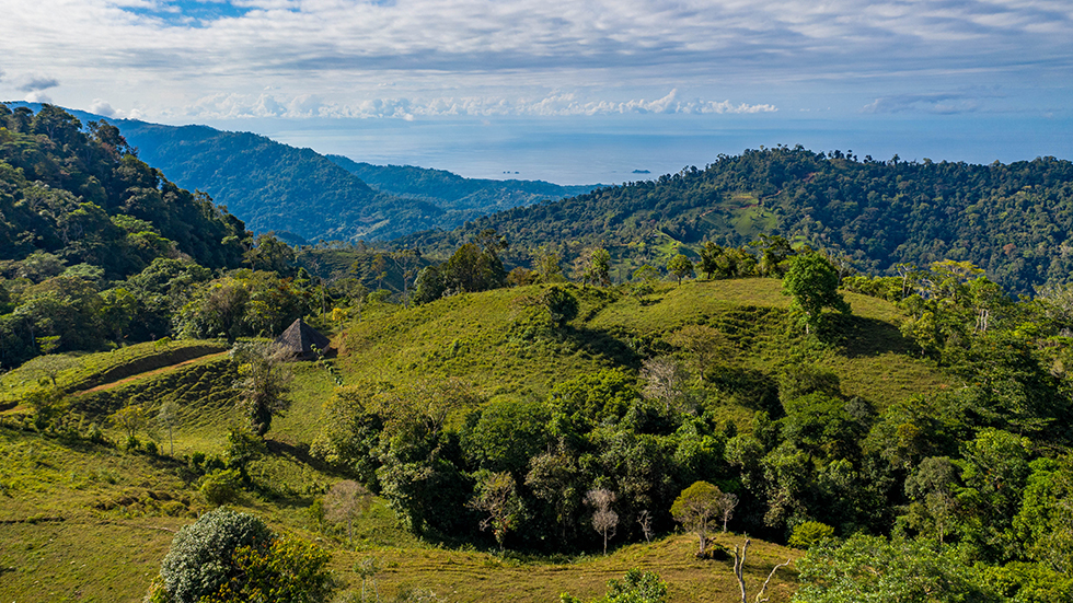 0 bed Land For Sale in Uvita, Puntarenas - thumb 4