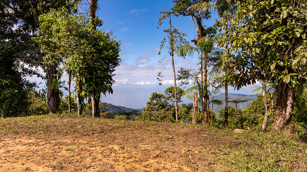 0 bed Land For Sale in Uvita, Puntarenas - thumb 13