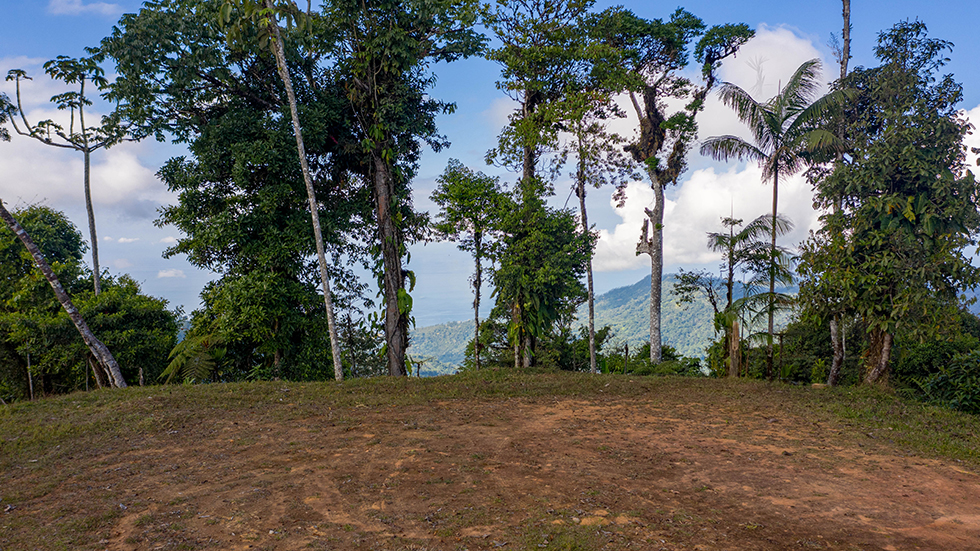 0 bed Land For Sale in Uvita, Puntarenas - thumb 10