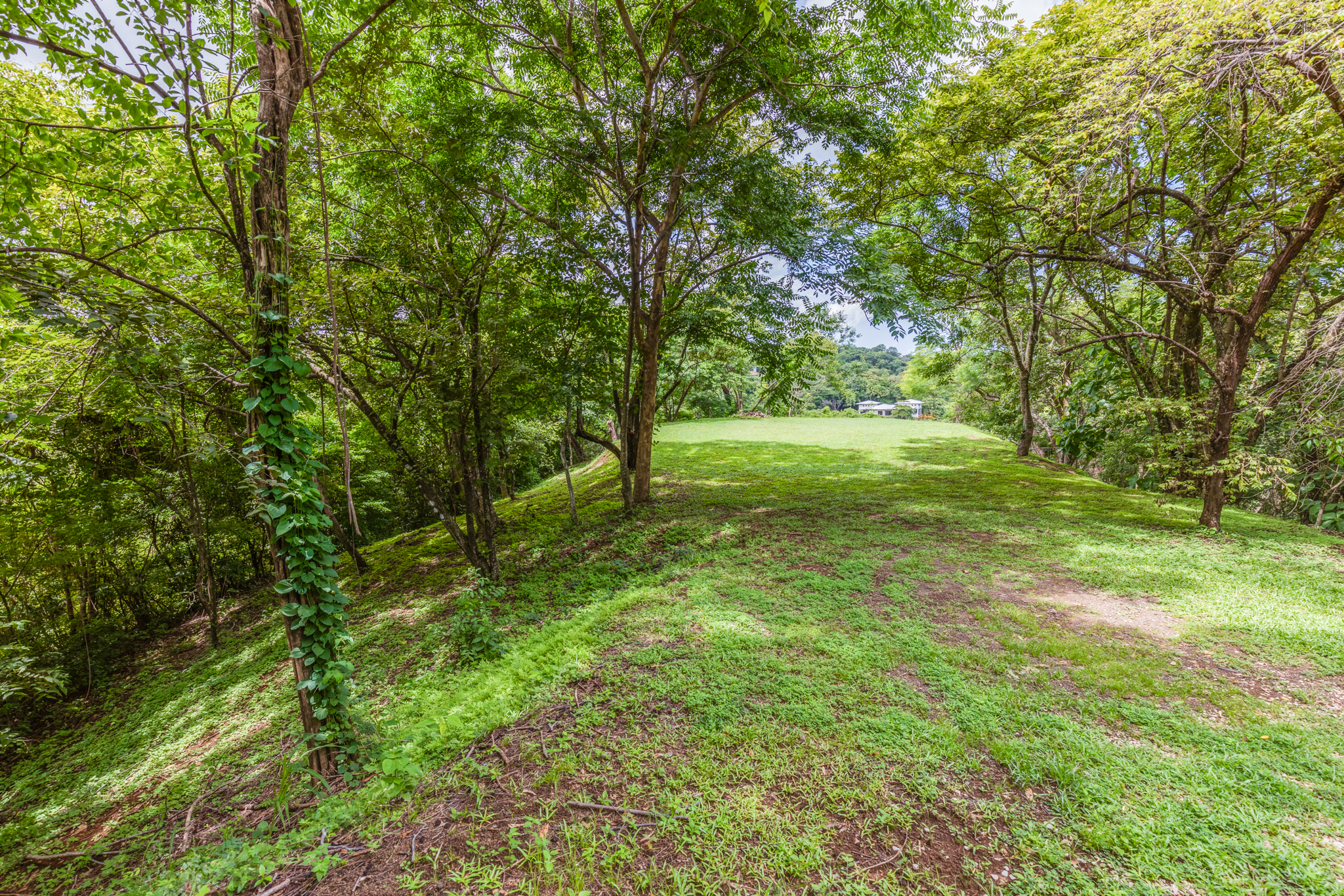 0 bed Land For Sale in Ostional, Guanacaste - thumb 7