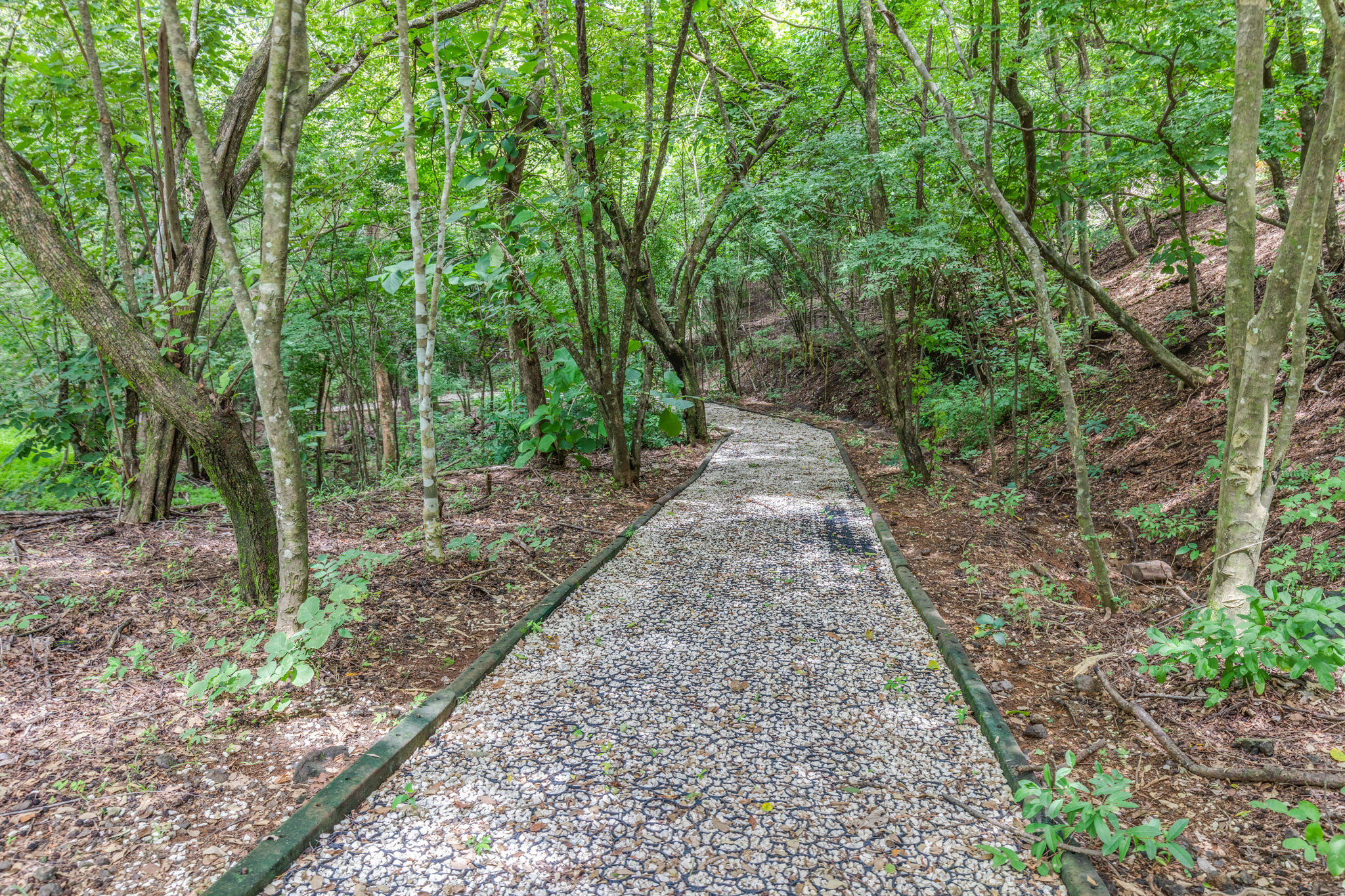 0 bed Land For Sale in Ostional, Guanacaste - thumb 6