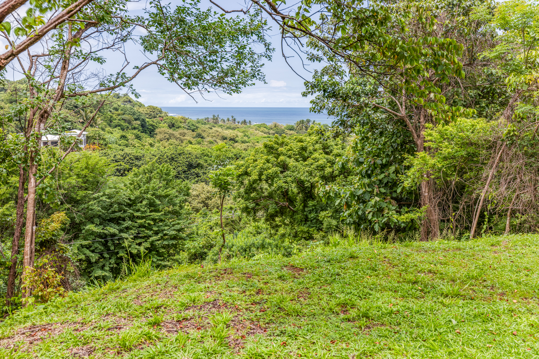 0 bed Land For Sale in Ostional, Guanacaste - thumb 1