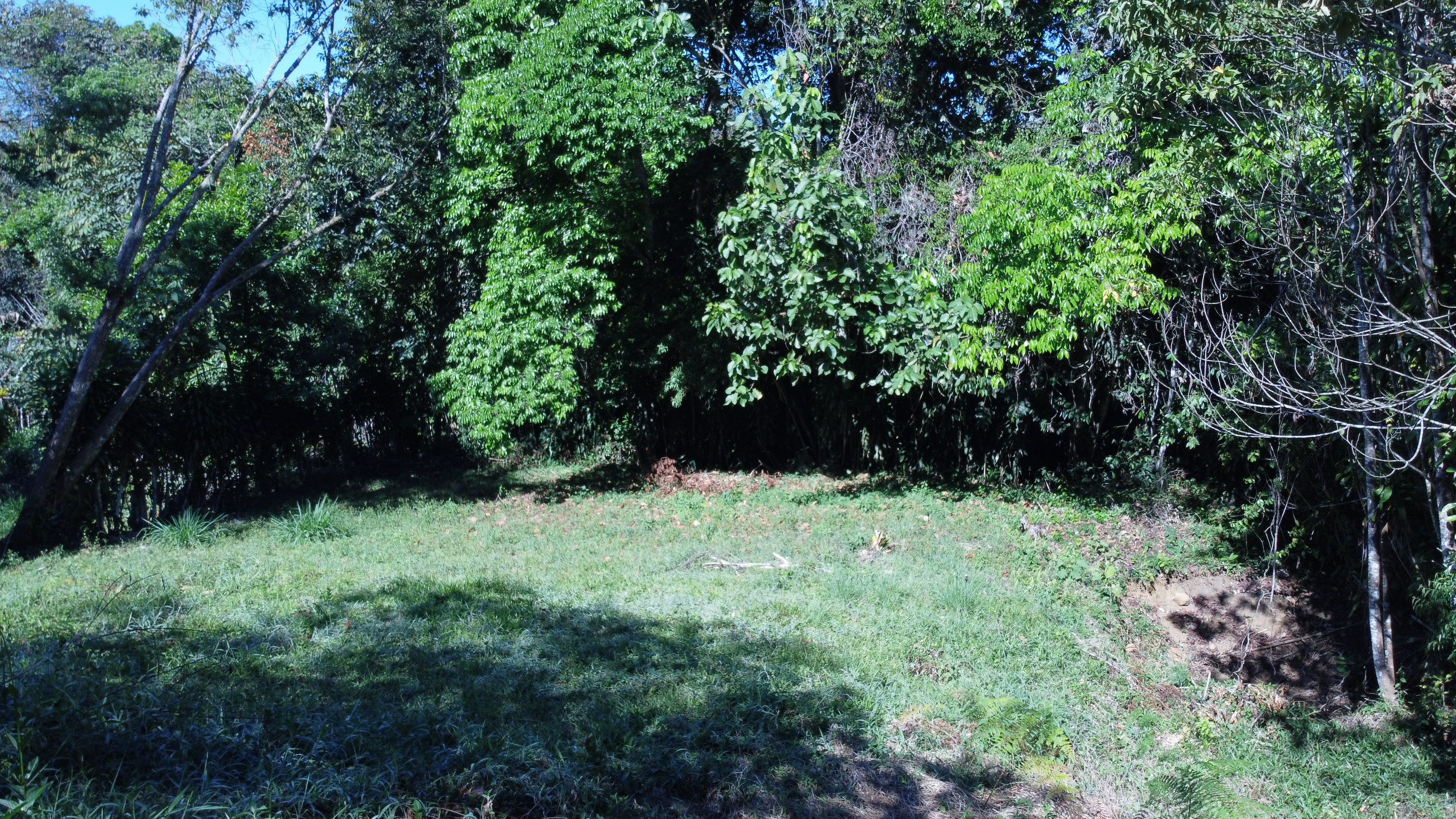 0 bed Land For Sale in Perez Zeledon, Puntarenas - thumb 9