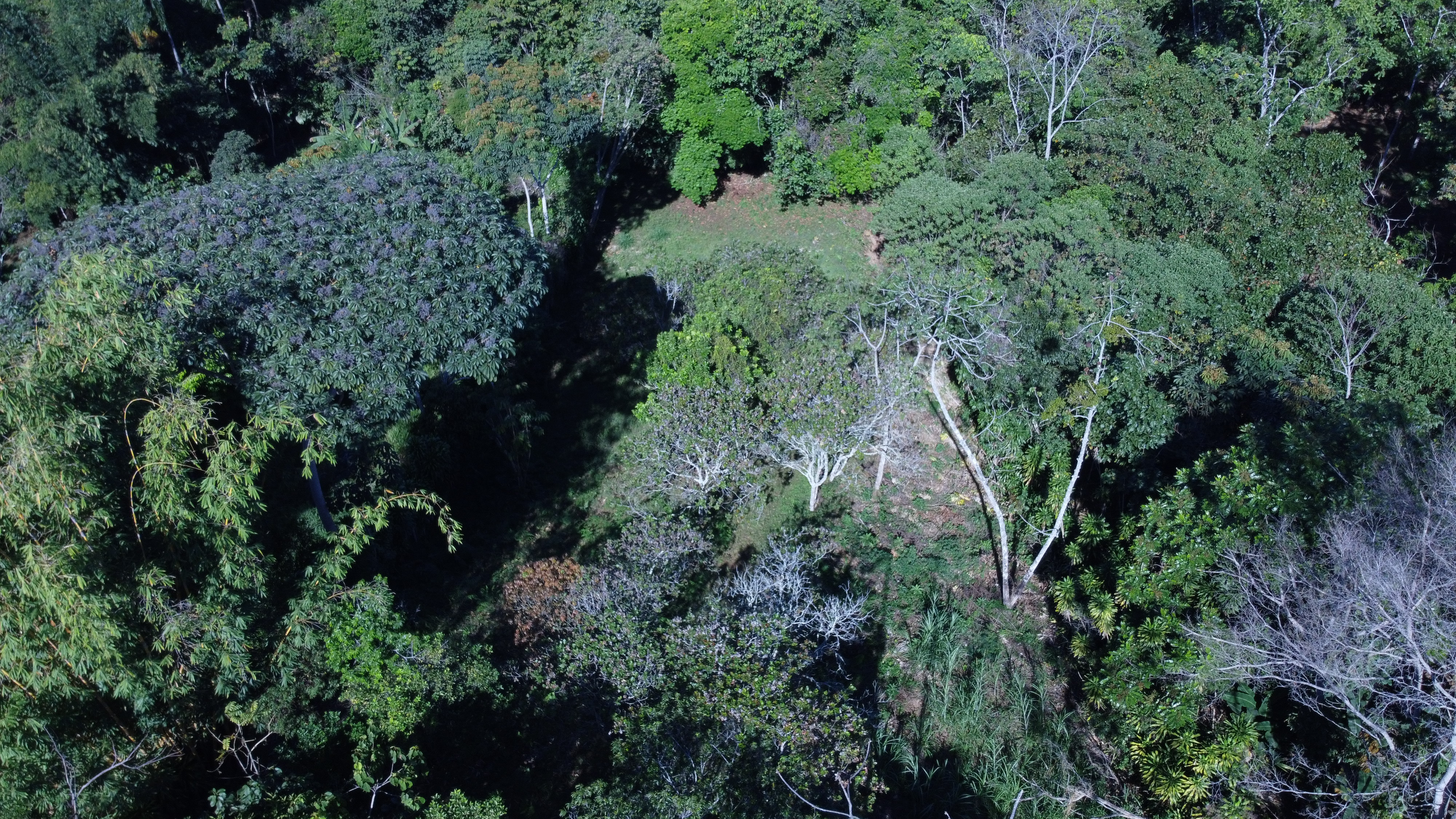 0 bed Land For Sale in Perez Zeledon, Puntarenas - thumb 5