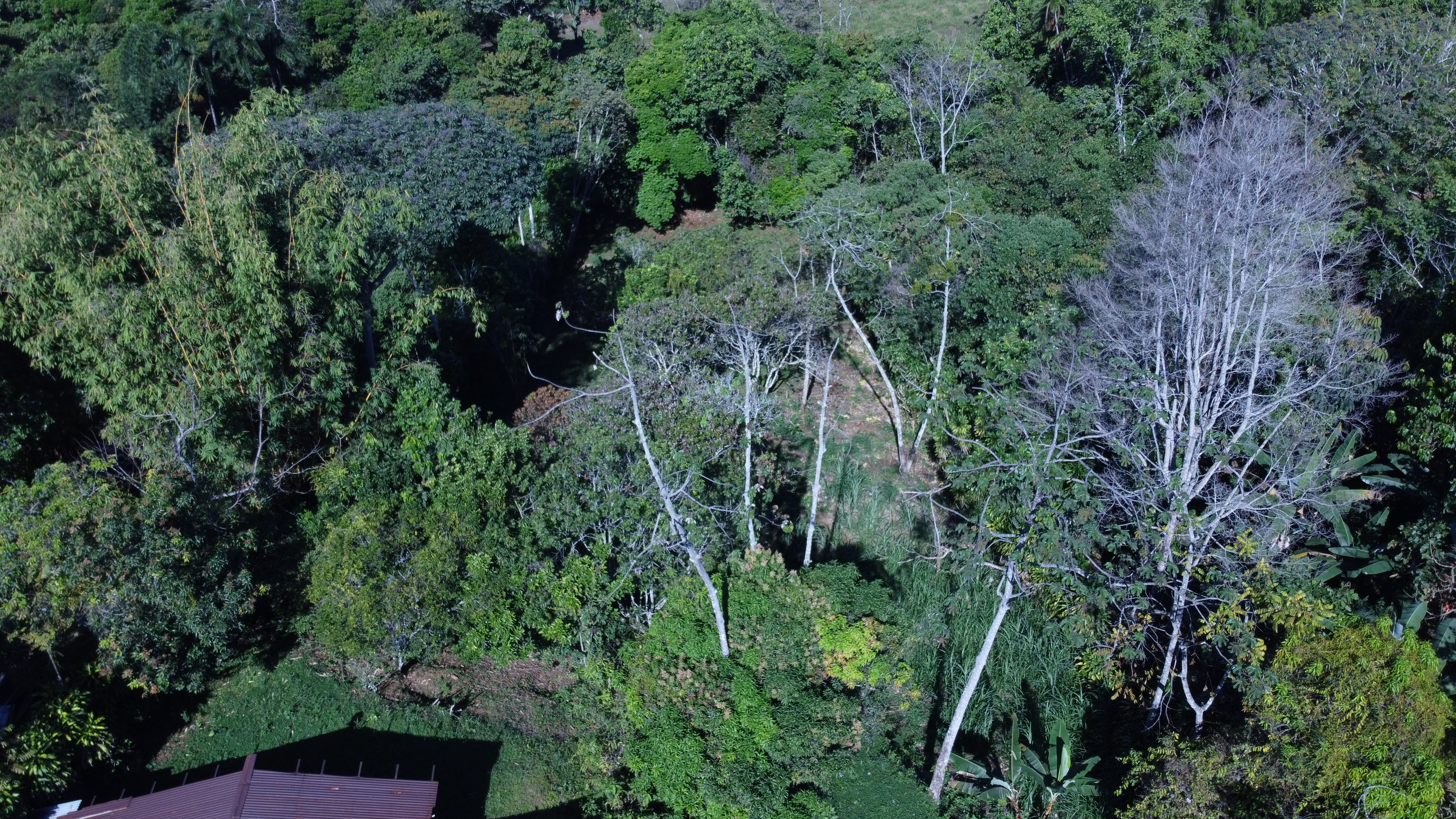 0 bed Land For Sale in Perez Zeledon, Puntarenas - thumb 6