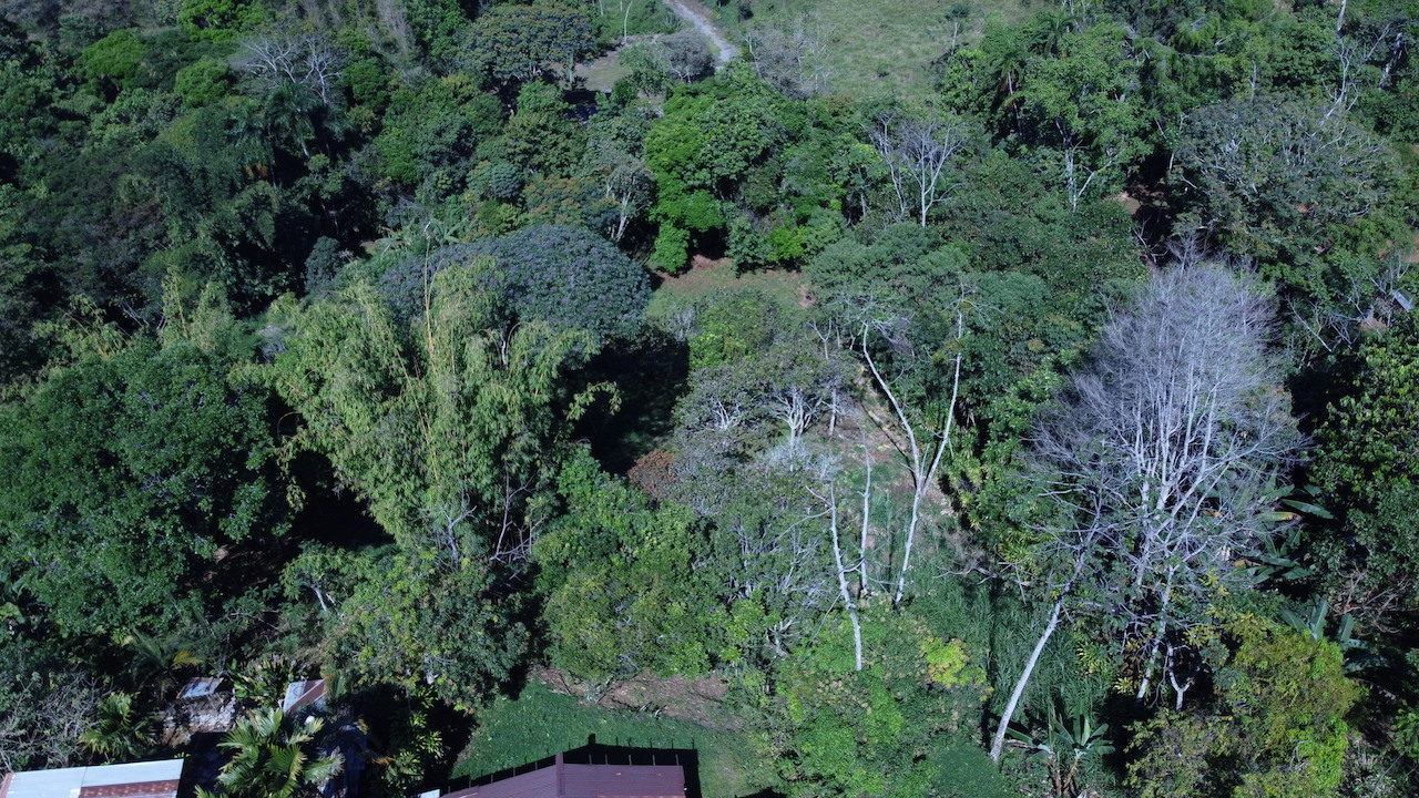 0 bed Land For Sale in Perez Zeledon, Puntarenas - thumb 16