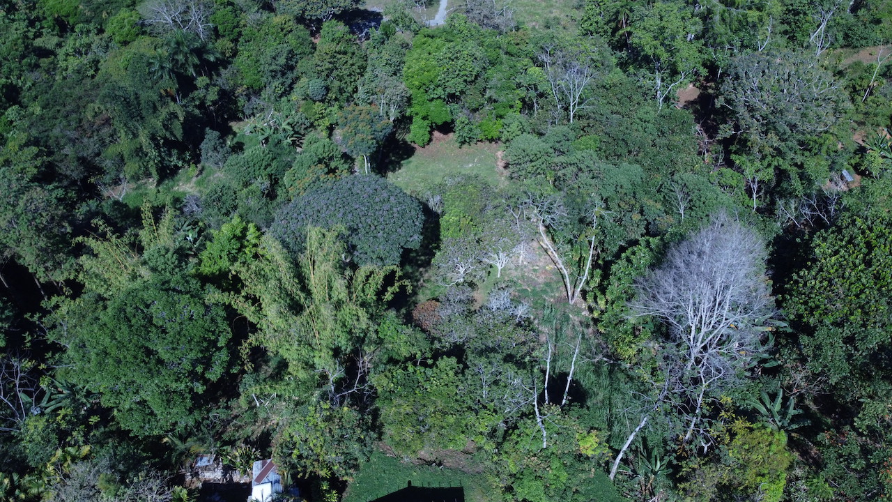 0 bed Land For Sale in Perez Zeledon, Puntarenas - thumb 15