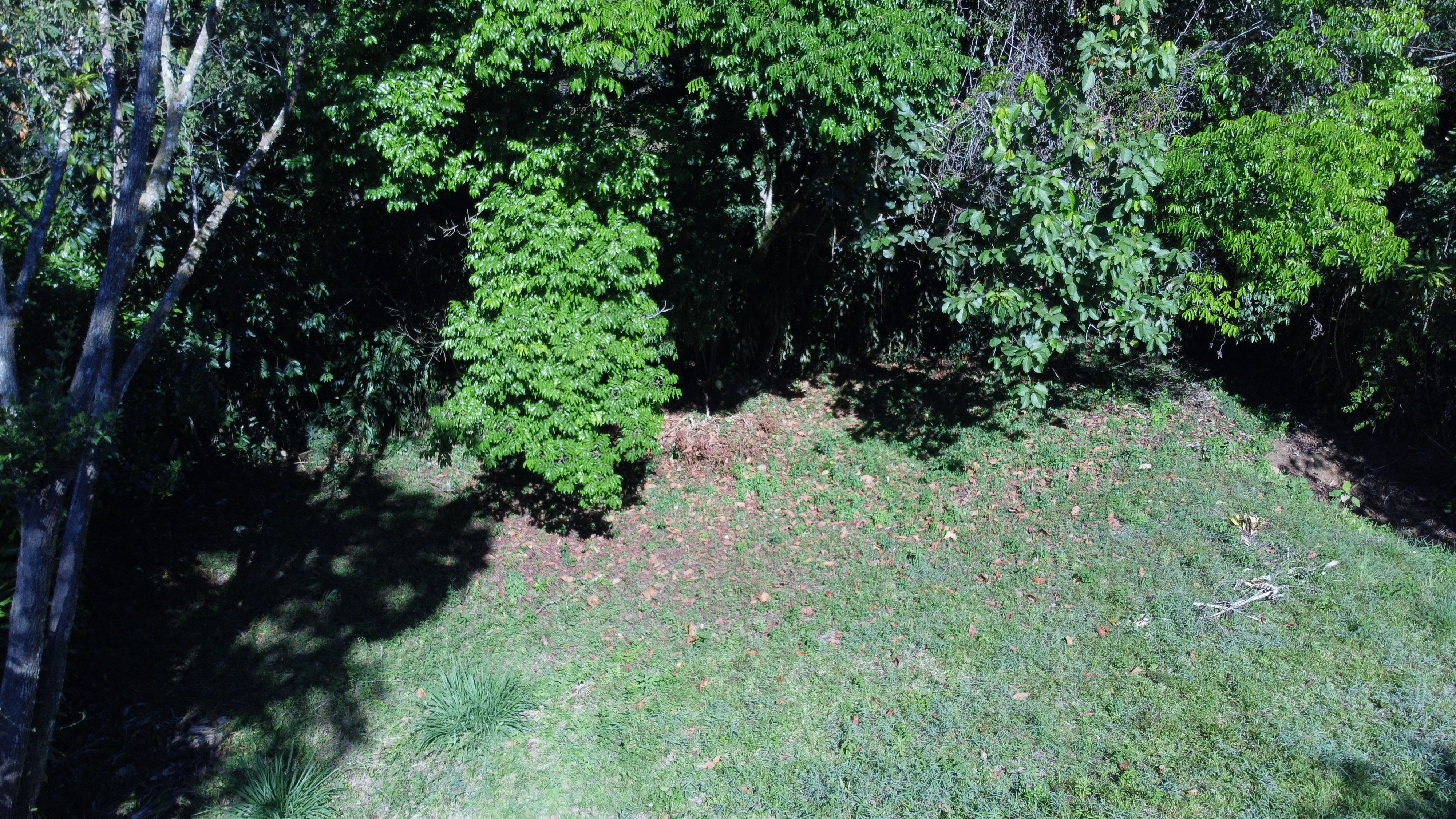 0 bed Land For Sale in Perez Zeledon, Puntarenas - thumb 10