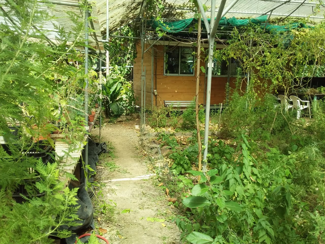 4 bed Single Family Homes For Sale in Atenas, Alajuela - thumb 22