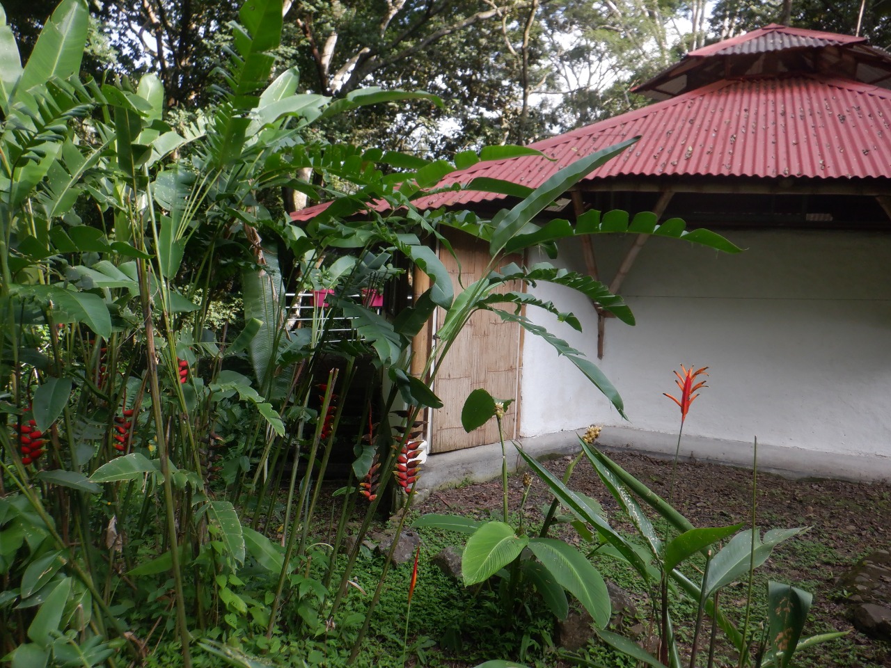 4 bed Single Family Homes For Sale in Atenas, Alajuela - thumb 21