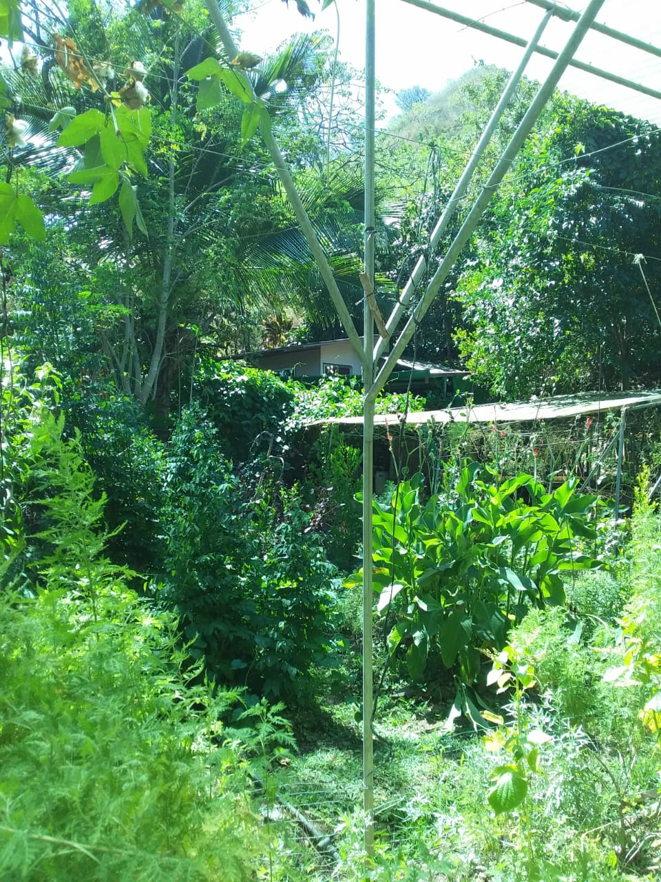 4 bed Single Family Homes For Sale in Atenas, Alajuela - thumb 23