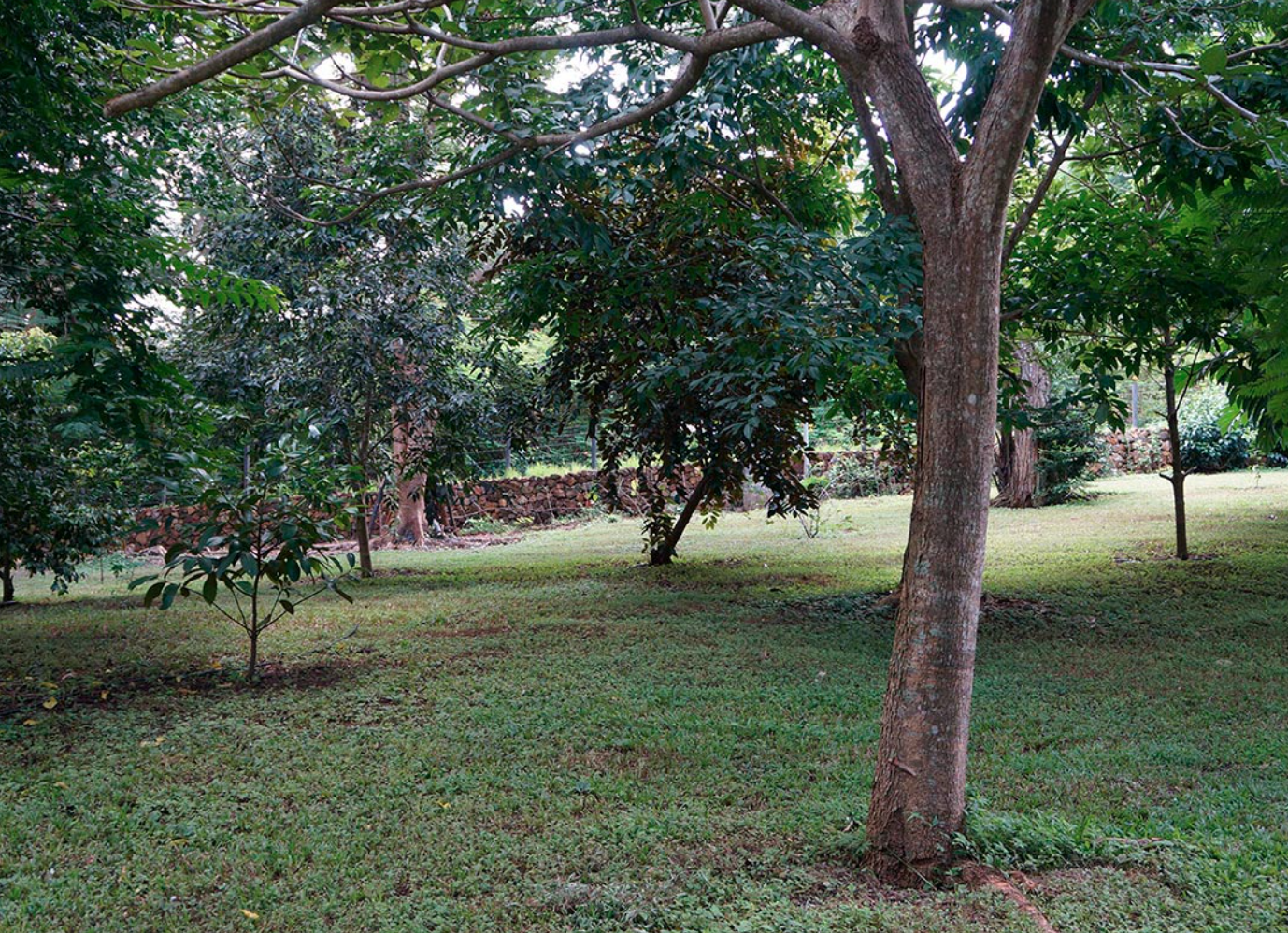 3 bed Single Family Homes For Sale in Orotina, Alajuela - thumb 6