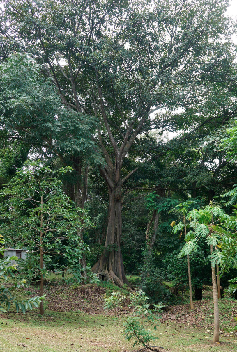 3 bed Single Family Homes For Sale in Orotina, Alajuela - thumb 7