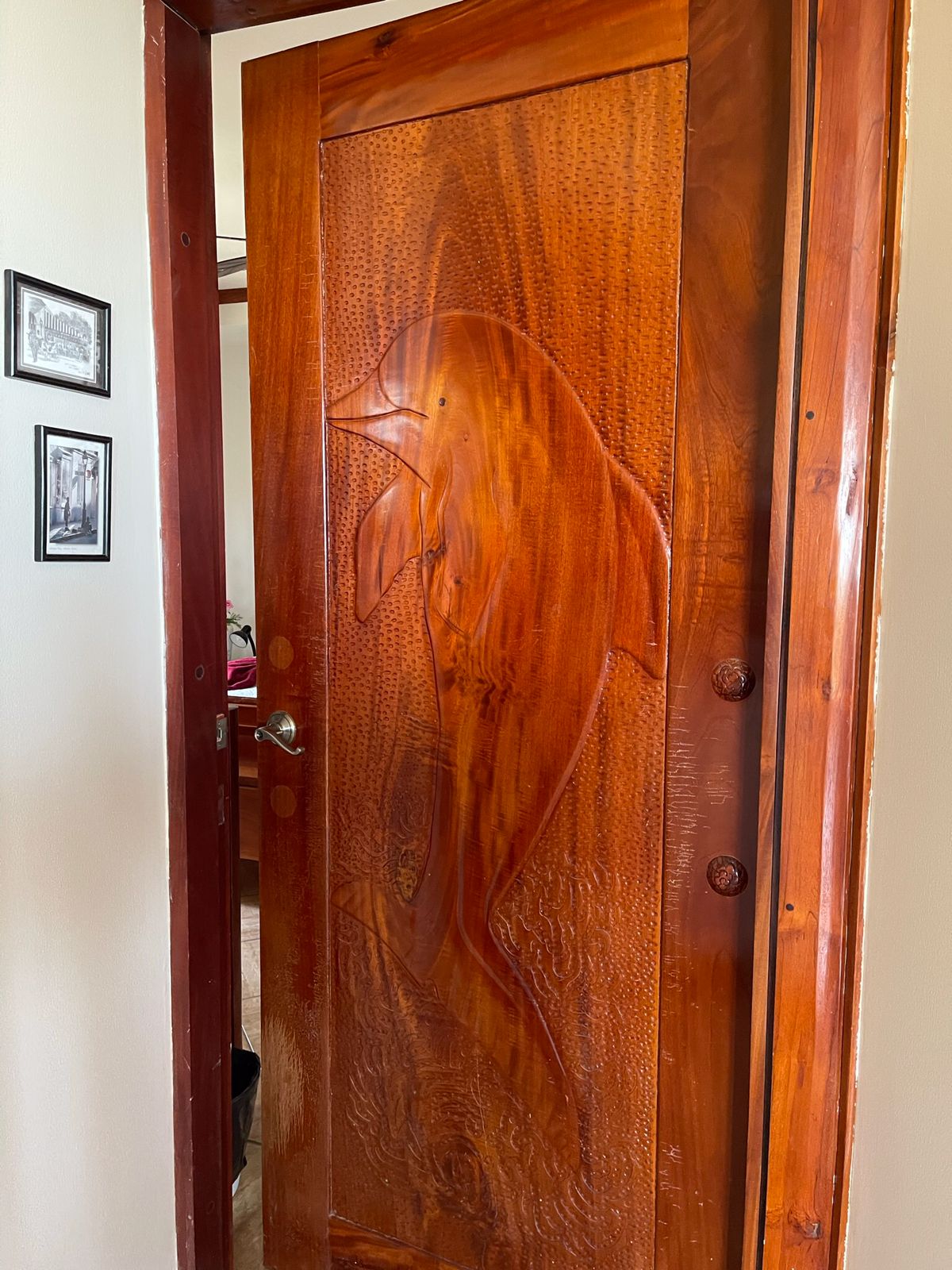 12 bed Single Family Homes For Sale in Samara, Guanacaste - thumb 23