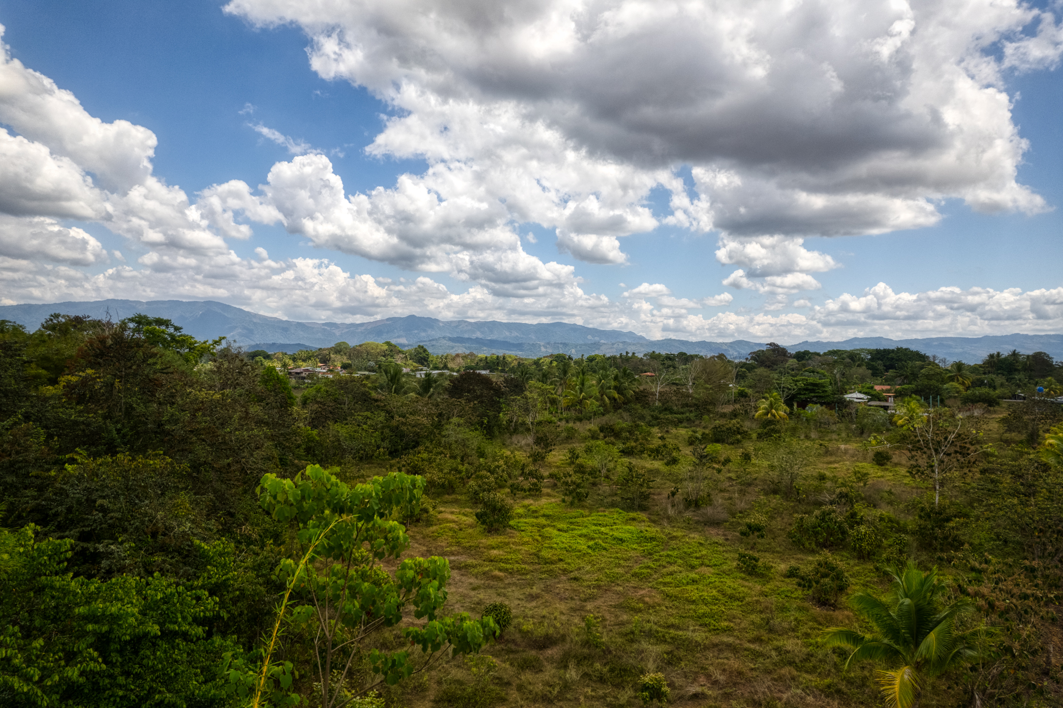 0 bed Land For Sale in Sierpe, Puntarenas - thumb 18
