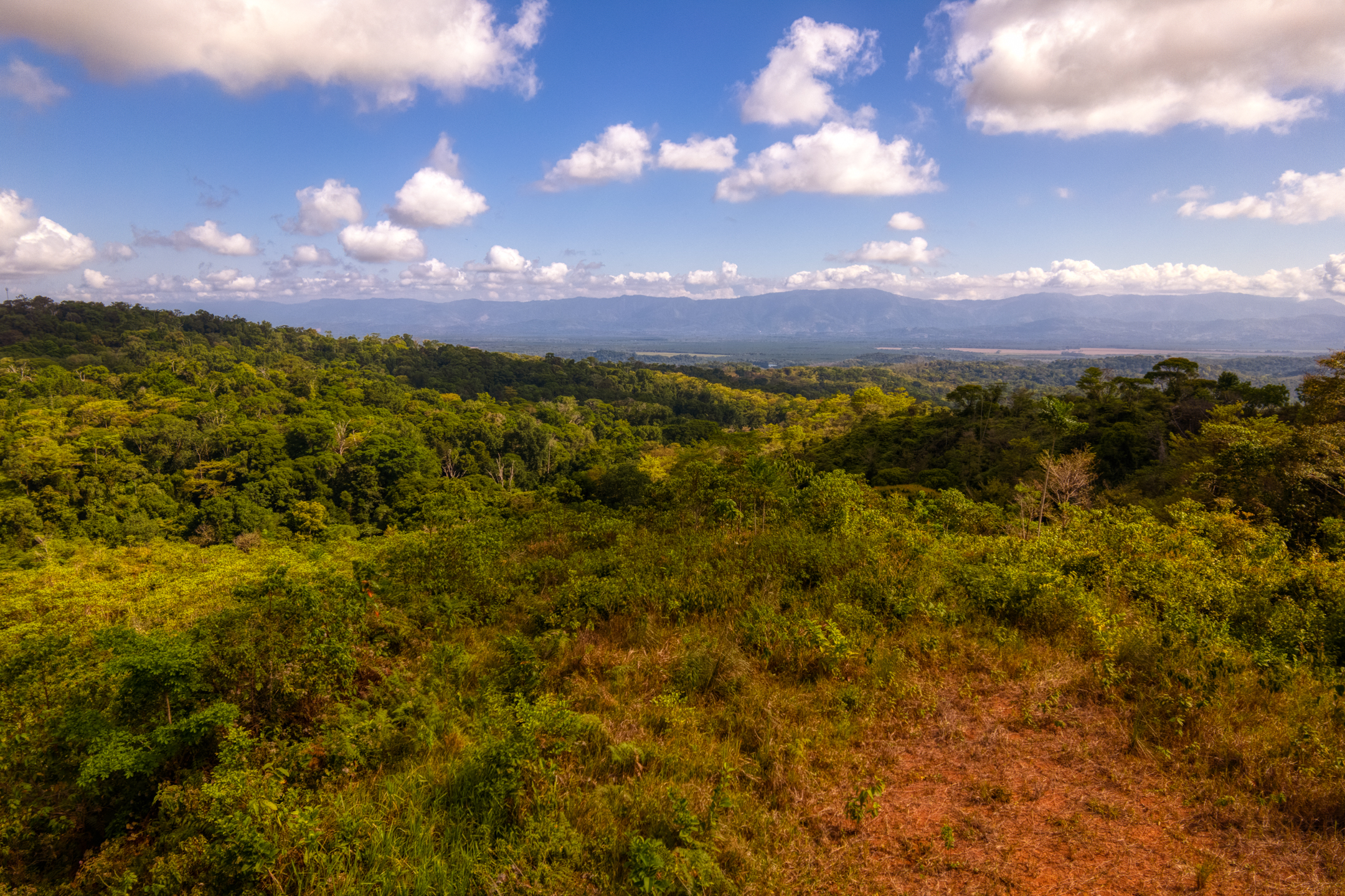 0 bed Land For Sale in Sierpe, Puntarenas - thumb 14