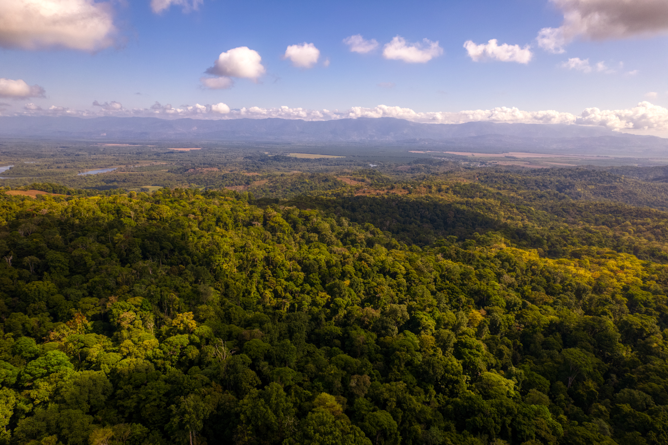 0 bed Land For Sale in Sierpe, Puntarenas - thumb 23