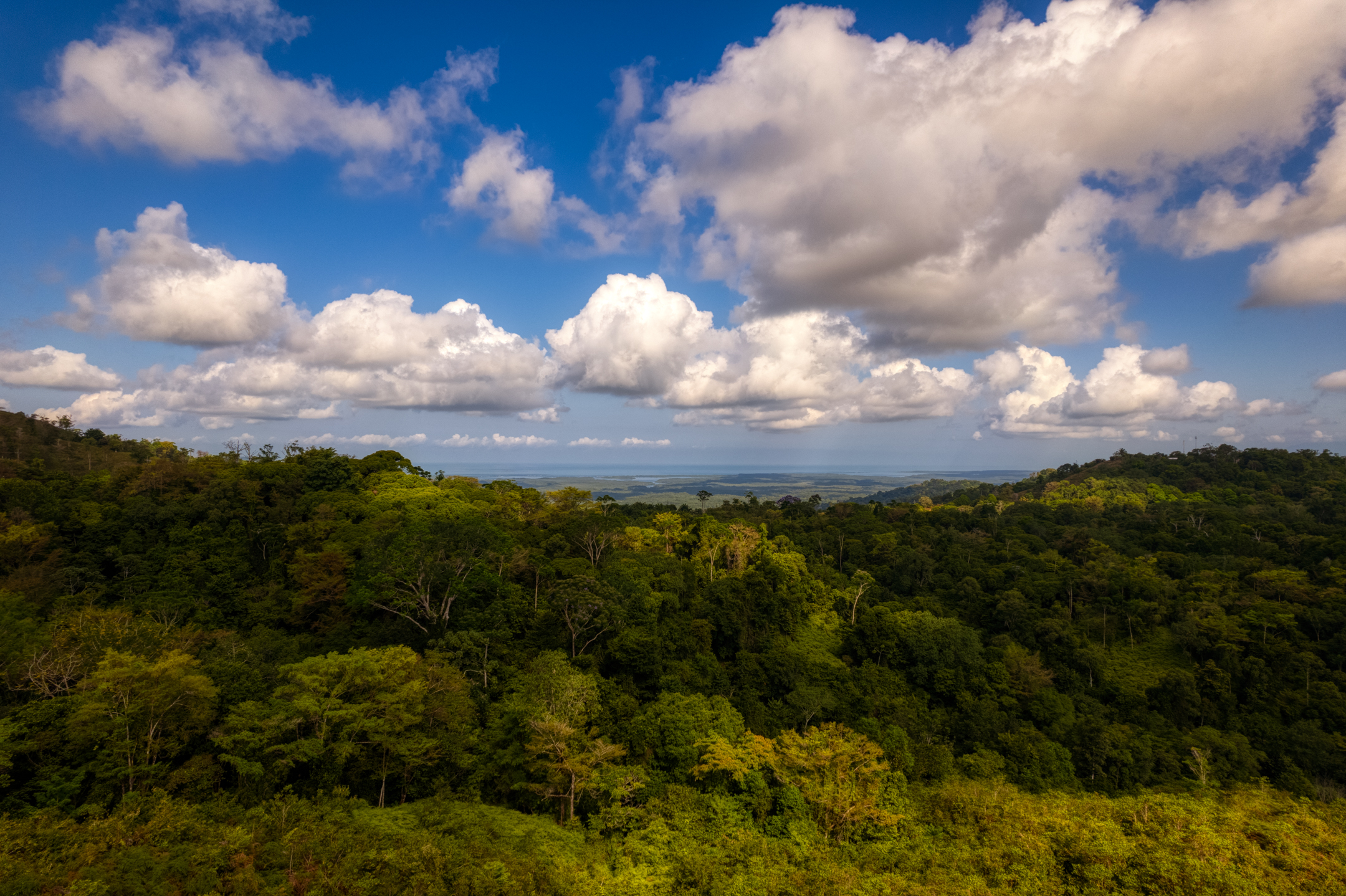 0 bed Land For Sale in Sierpe, Puntarenas - thumb 21