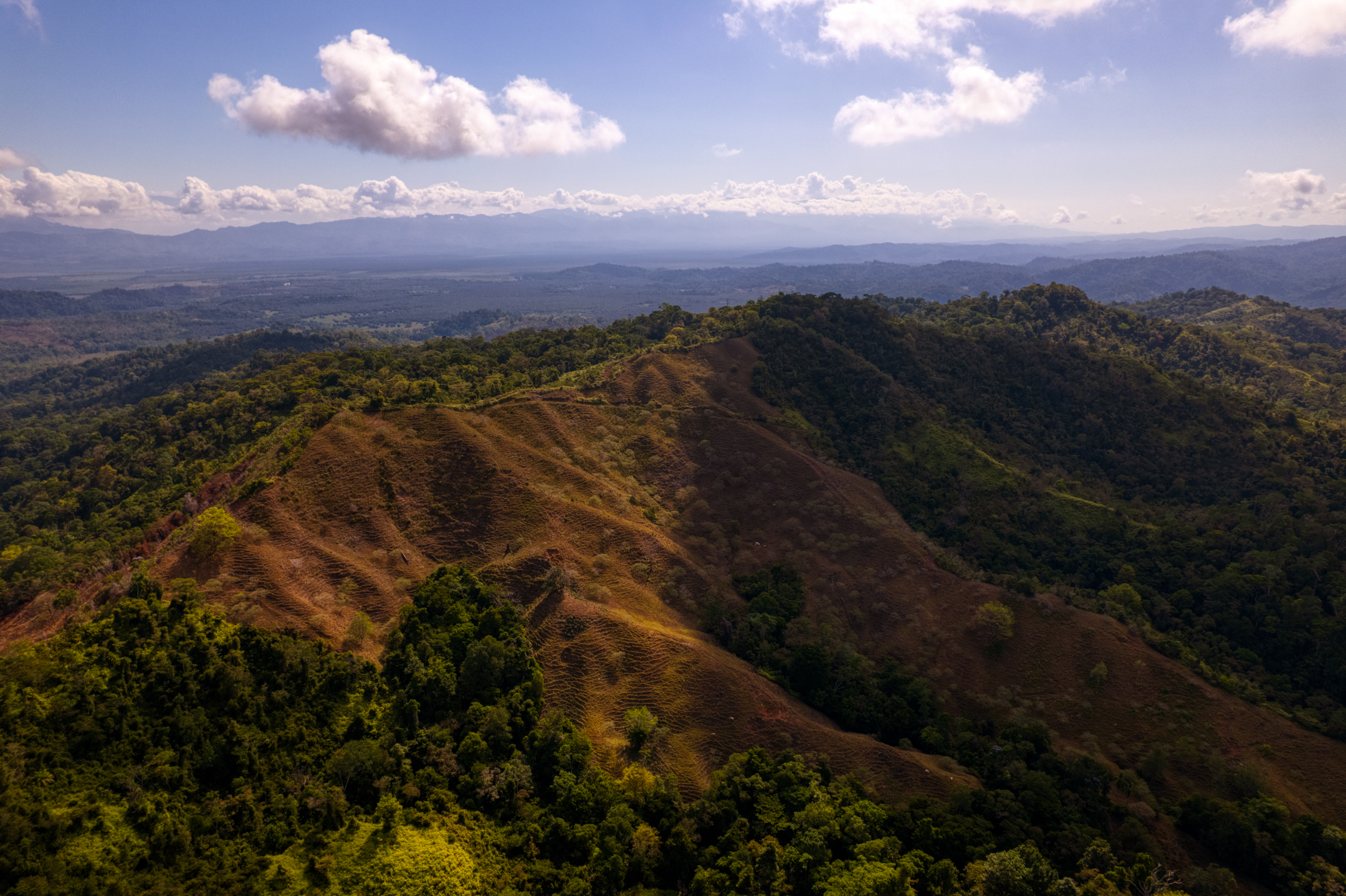 0 bed Land For Sale in Sierpe, Puntarenas - thumb 9