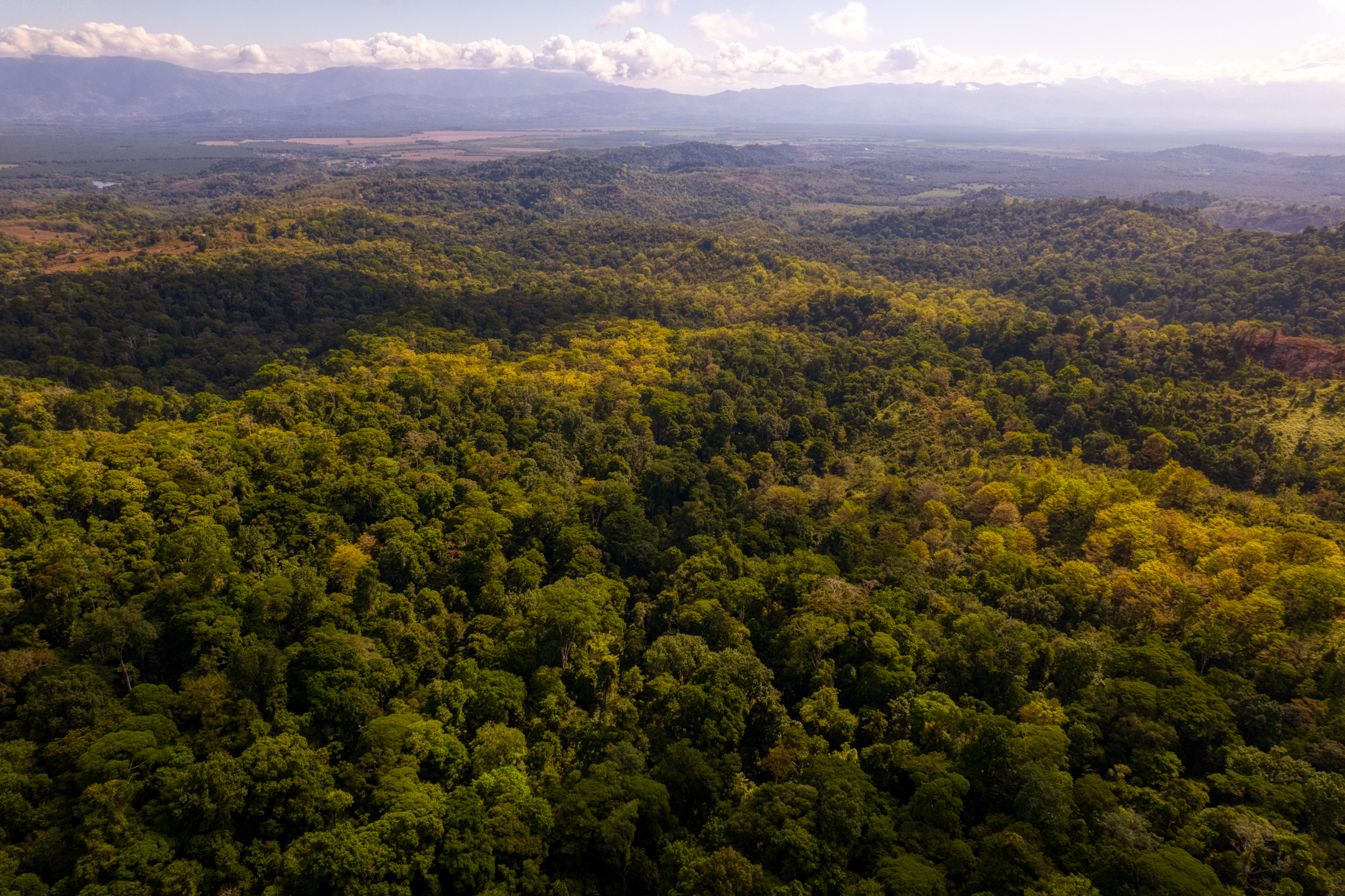 0 bed Land For Sale in Sierpe, Puntarenas - thumb 6