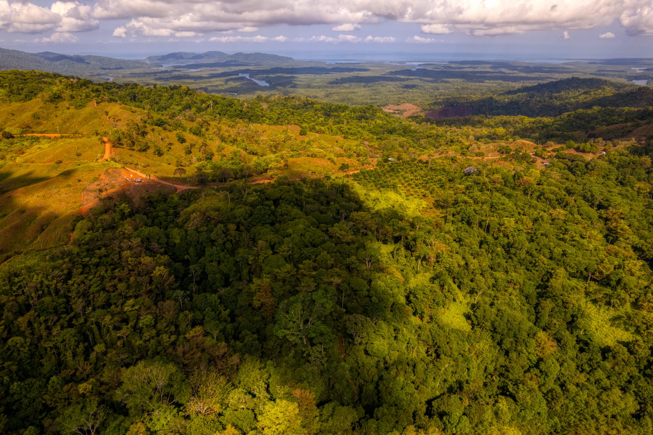 0 bed Land For Sale in Sierpe, Puntarenas - thumb 4