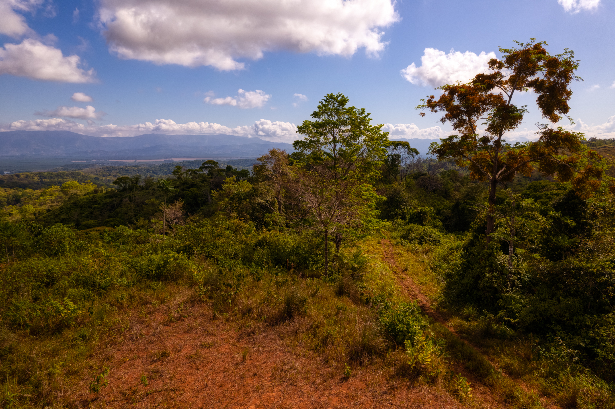 0 bed Land For Sale in Sierpe, Puntarenas - thumb 15