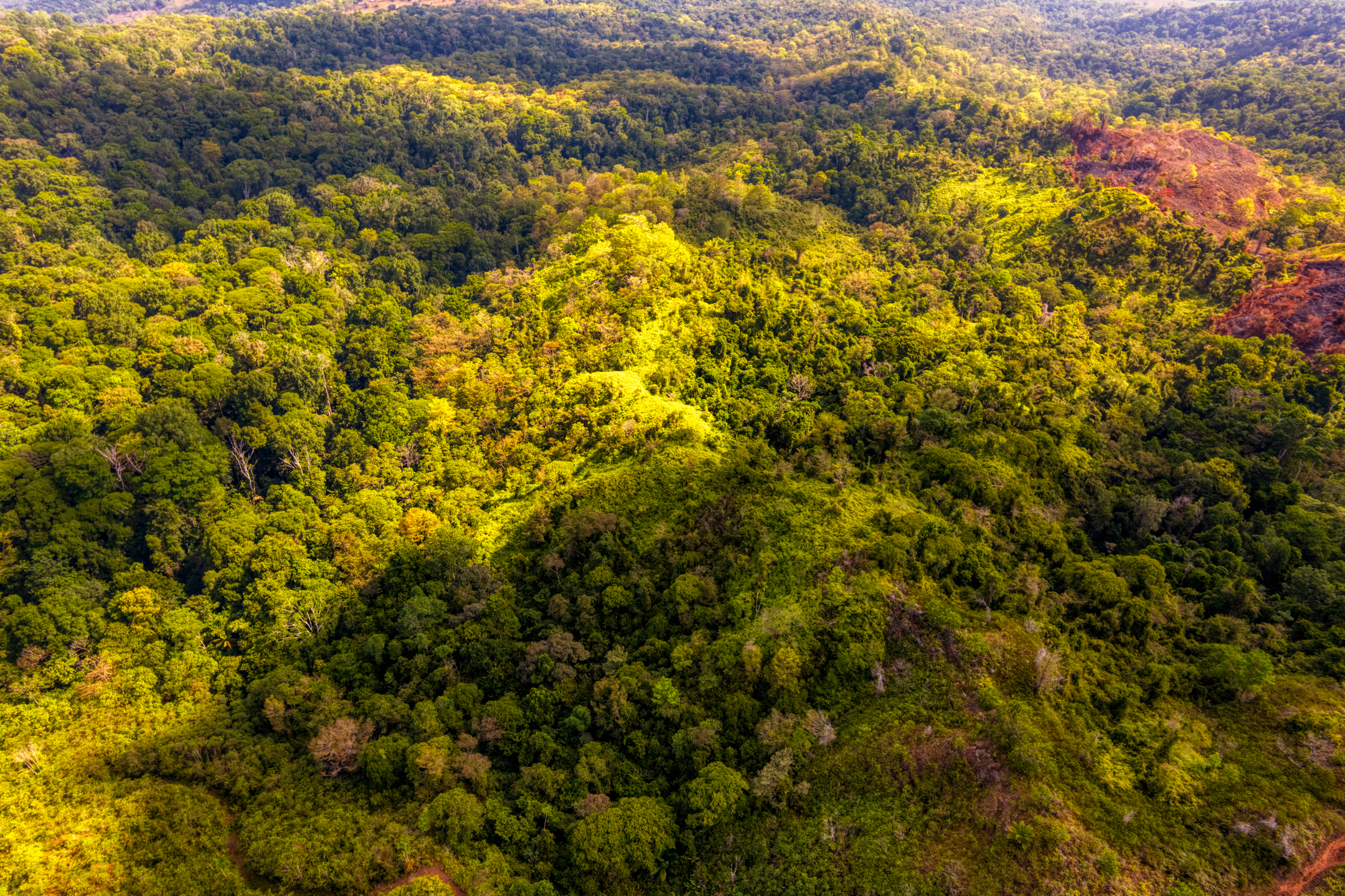 0 bed Land For Sale in Sierpe, Puntarenas - thumb 13