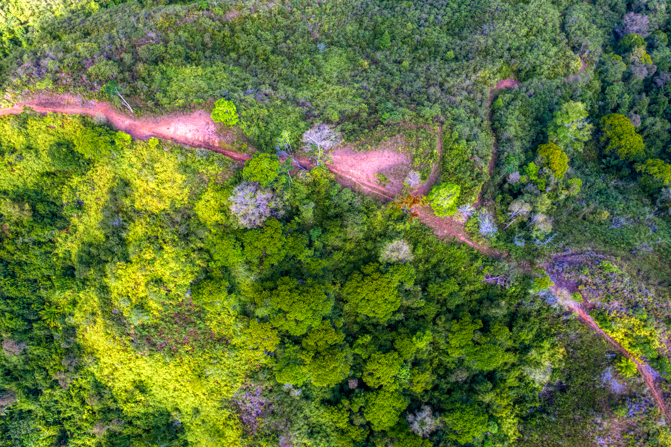 0 bed Land For Sale in Sierpe, Puntarenas - thumb 11