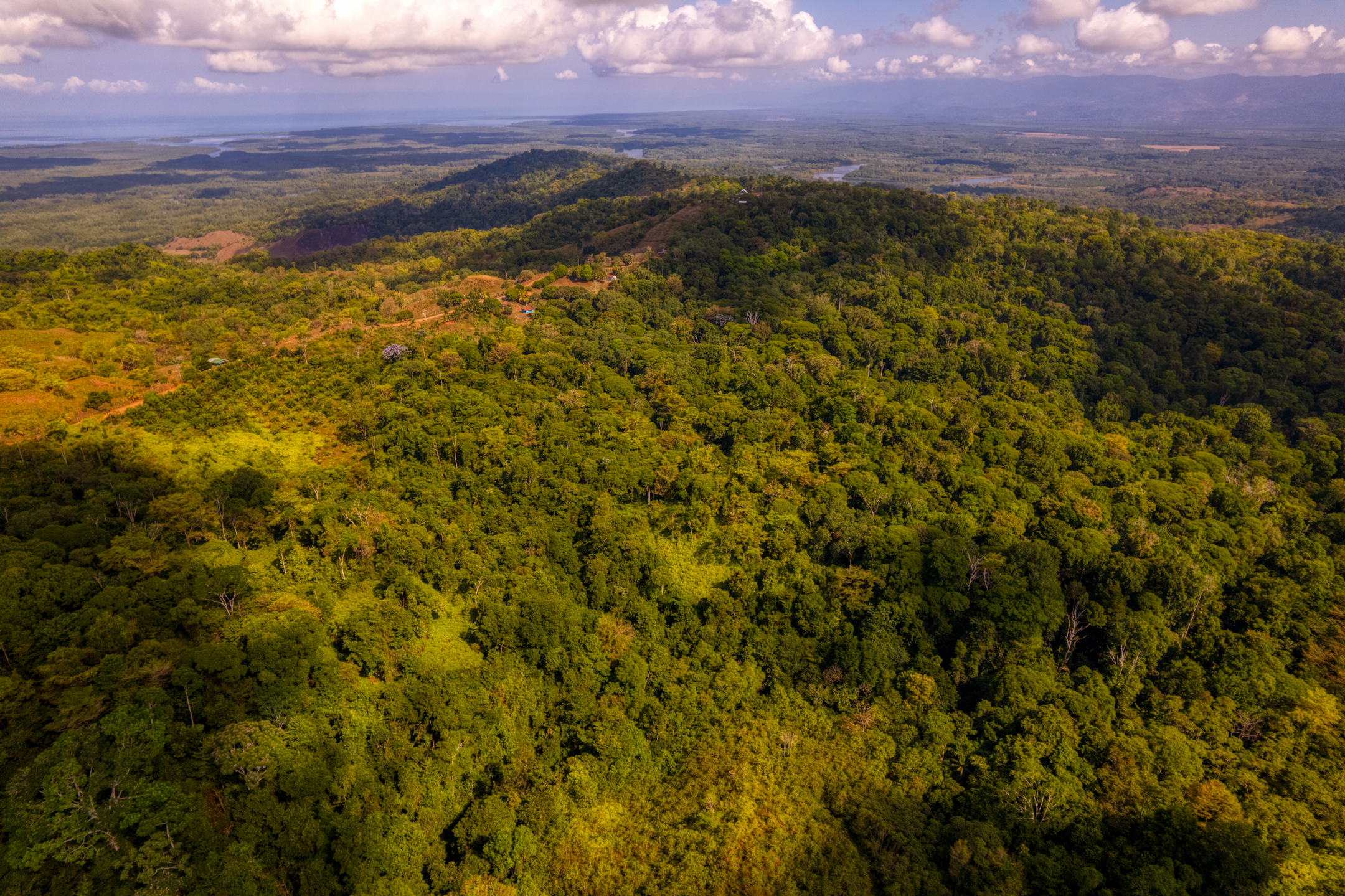 0 bed Land For Sale in Sierpe, Puntarenas - thumb 1