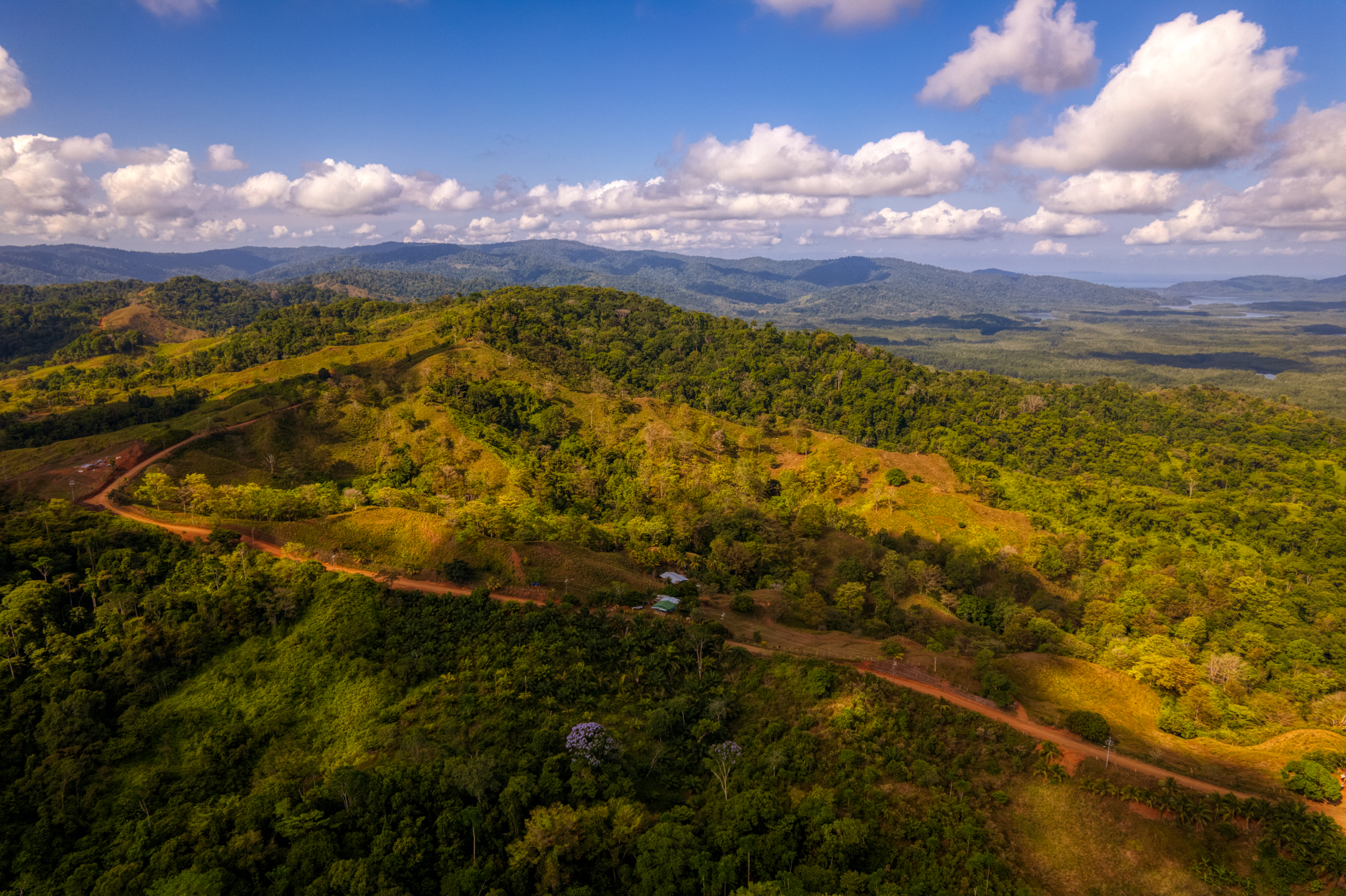 0 bed Land For Sale in Sierpe, Puntarenas - thumb 5