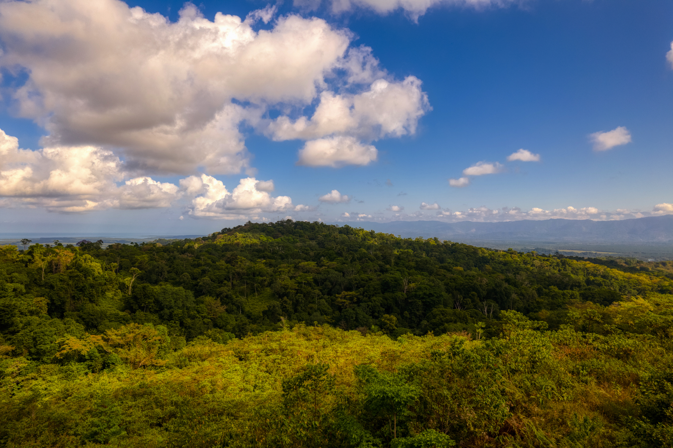 0 bed Land For Sale in Sierpe, Puntarenas - thumb 20