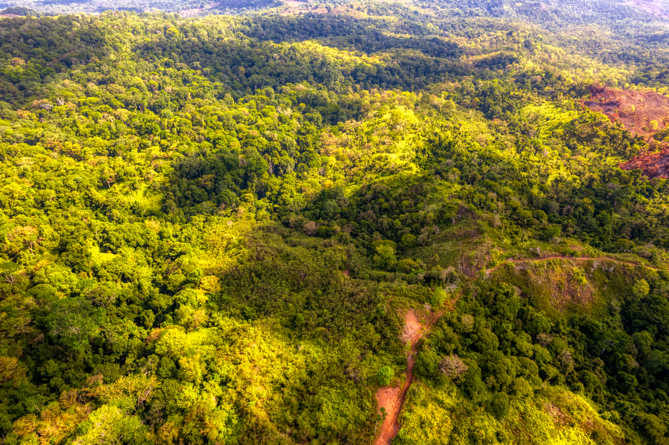 0 bed Land For Sale in Sierpe, Puntarenas - thumb 12