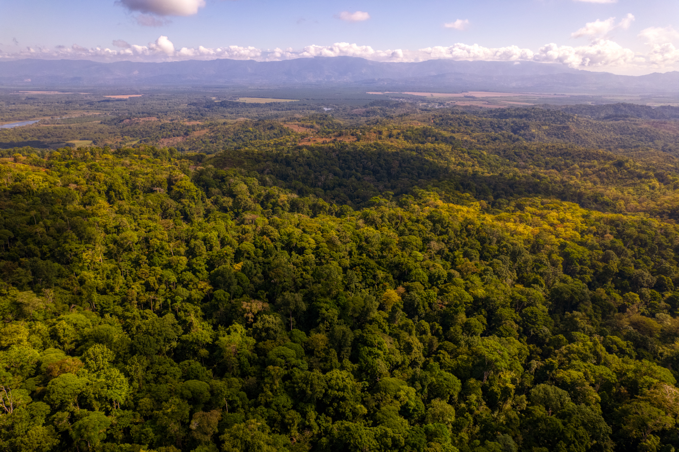 0 bed Land For Sale in Sierpe, Puntarenas - thumb 7