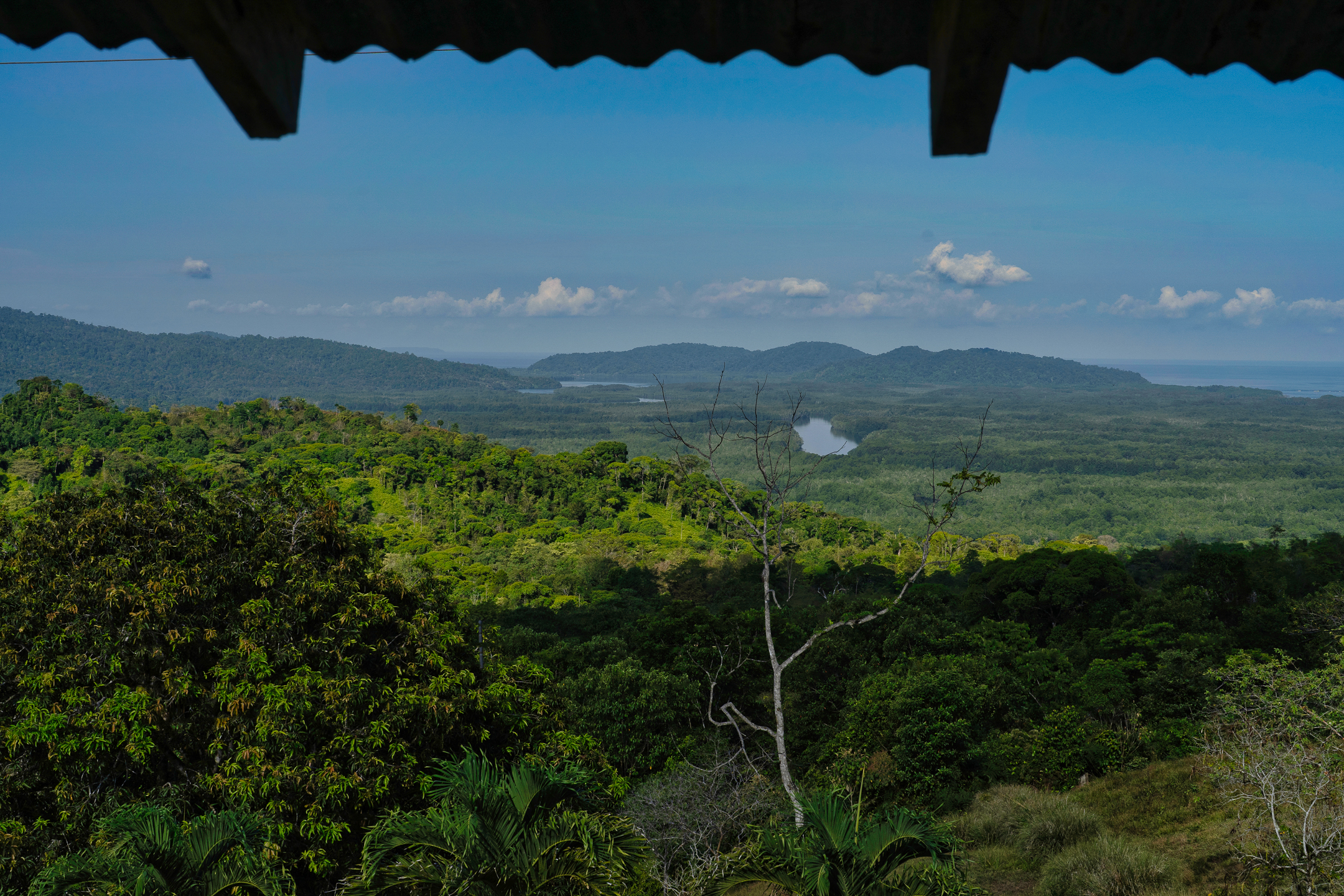 0 bed Land For Sale in Sierpe, Puntarenas - thumb 24