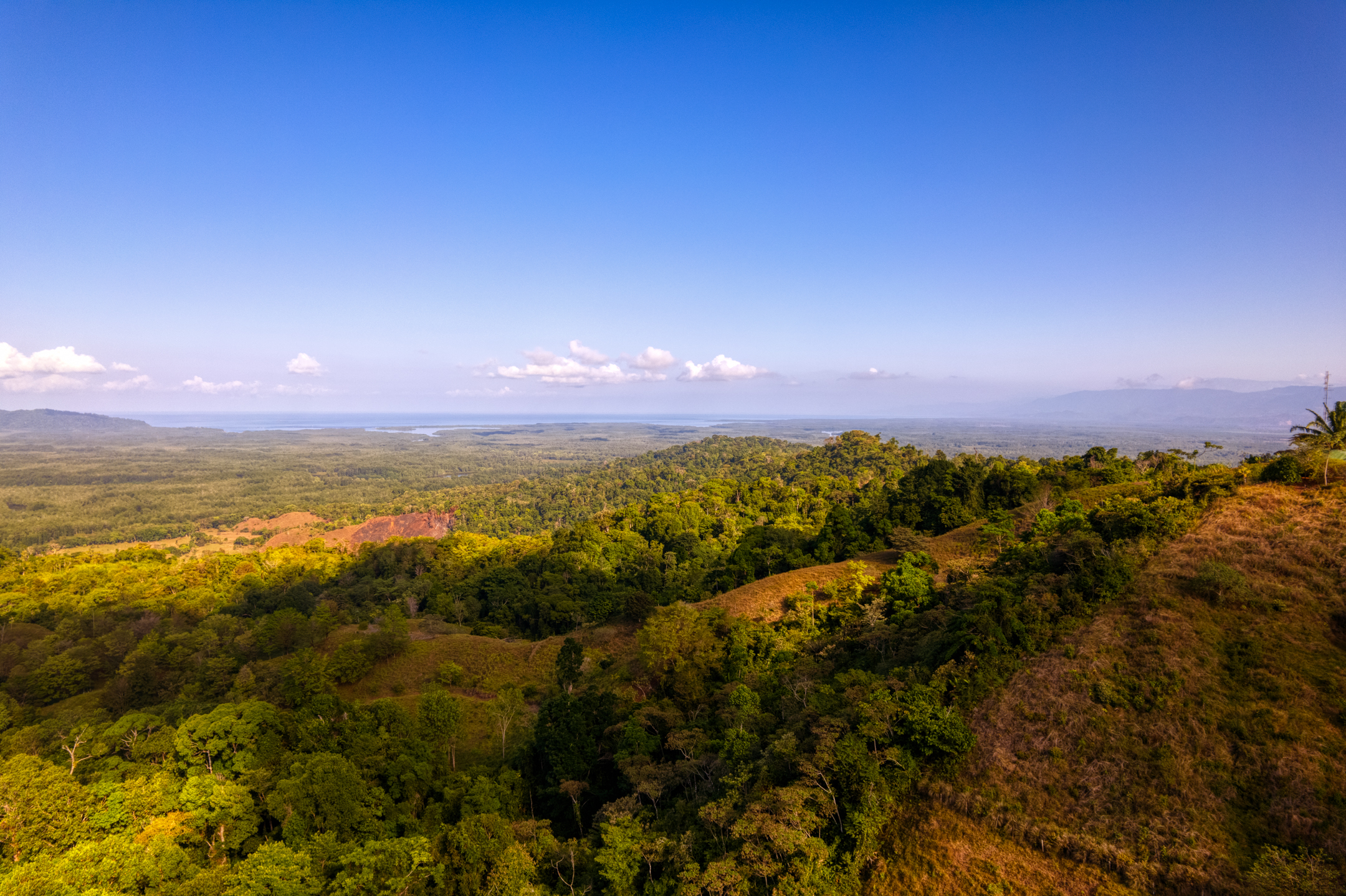 0 bed Land For Sale in Sierpe, Puntarenas - thumb 19