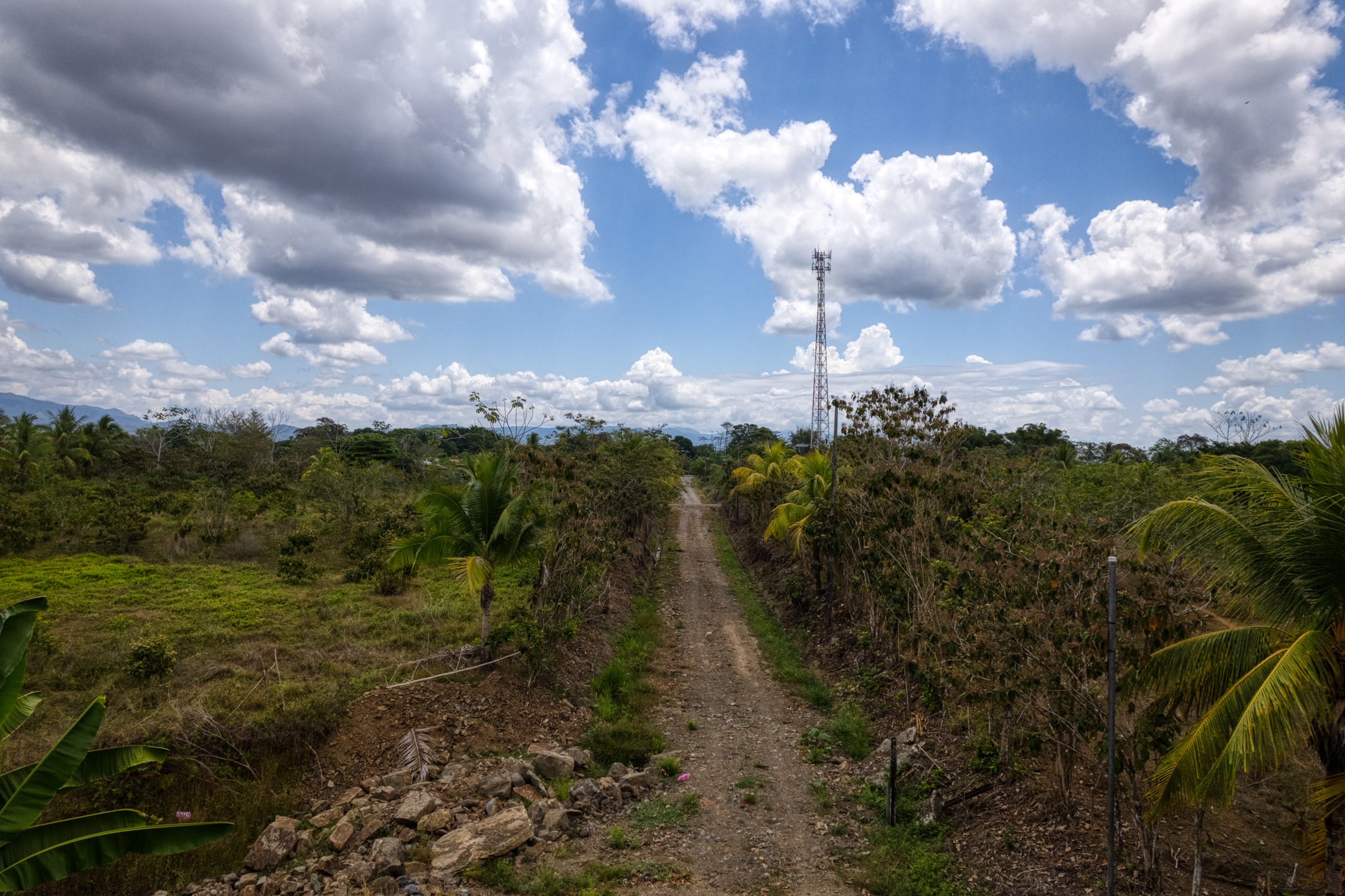 0 bed Land For Sale in Sierpe, Puntarenas - thumb 17