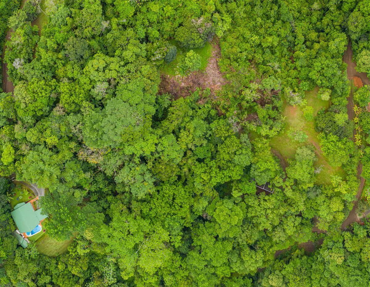 0 bed Land For Sale in Uvita, Puntarenas - thumb 2