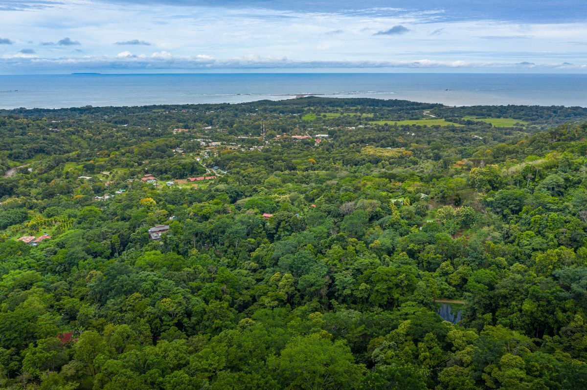 0 bed Land For Sale in Uvita, Puntarenas - thumb 1