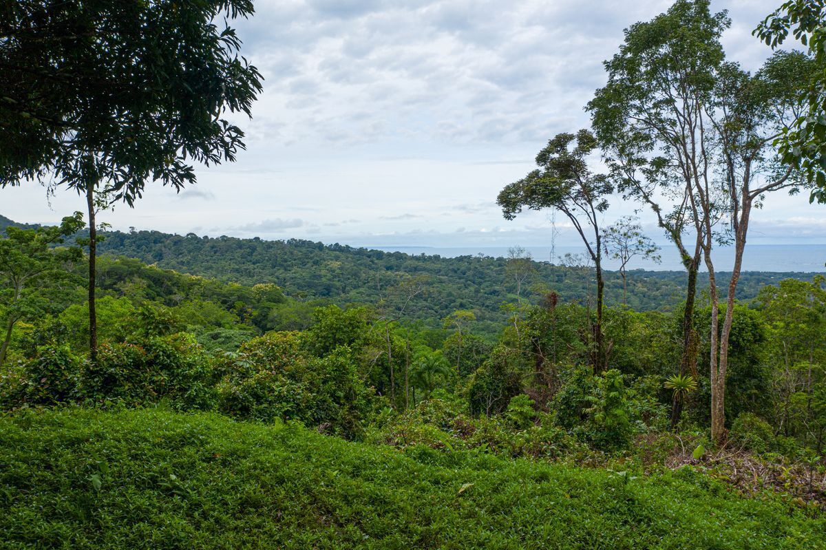 0 bed Land For Sale in Uvita, Puntarenas - thumb 5