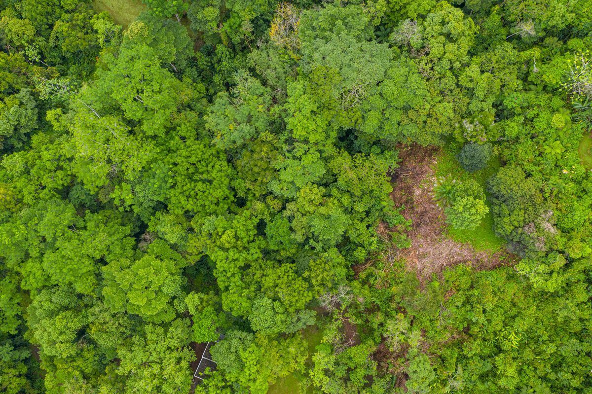 0 bed Land For Sale in Uvita, Puntarenas - thumb 3