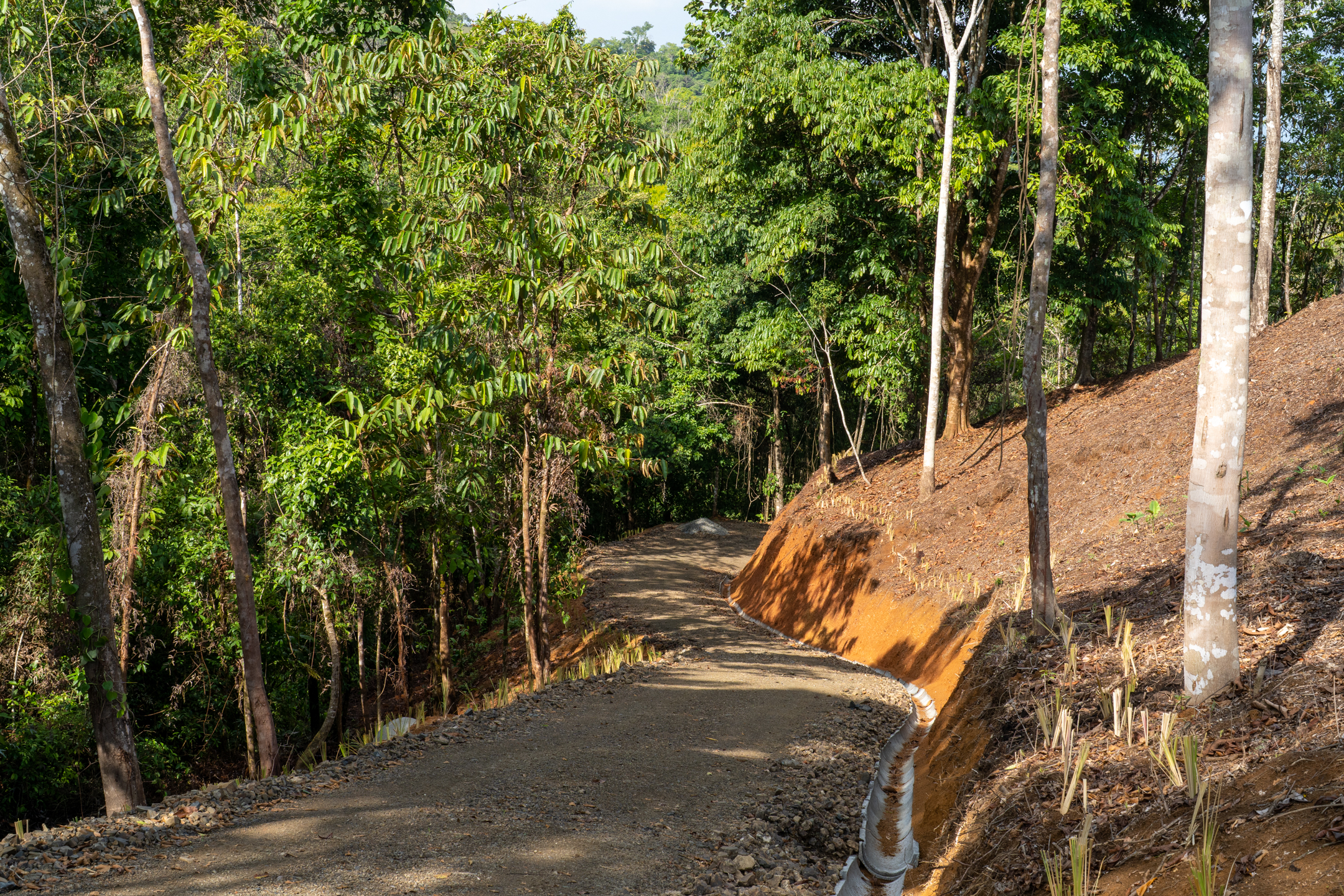 0 bed Land For Sale in Dominical, Puntarenas - thumb 24