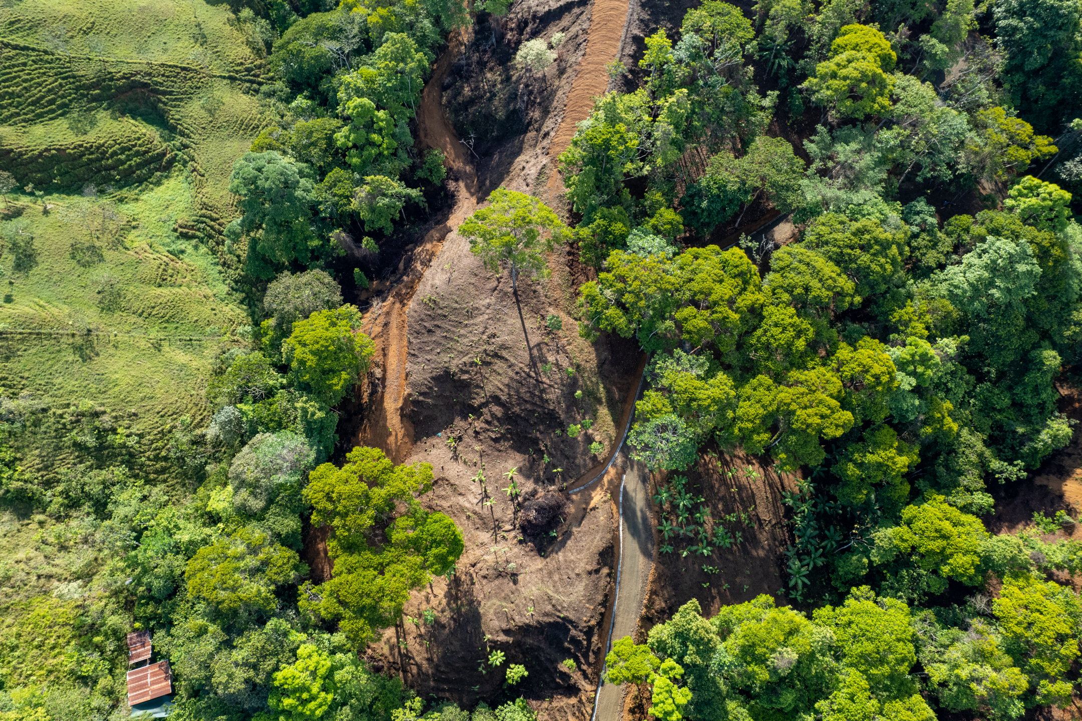 0 bed Land For Sale in Dominical, Puntarenas - thumb 13