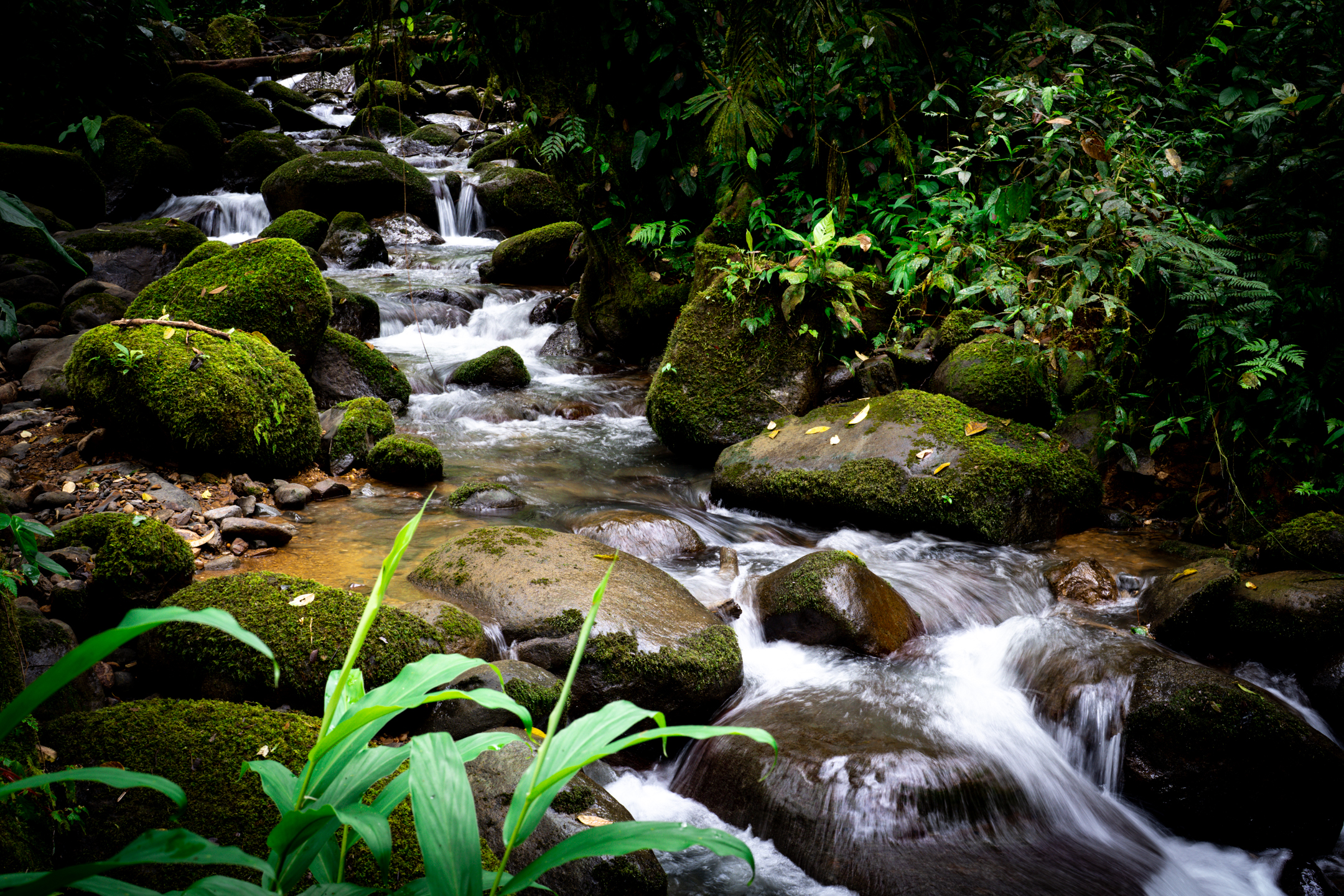 0 bed Land For Sale in Dominical, Puntarenas - thumb 3