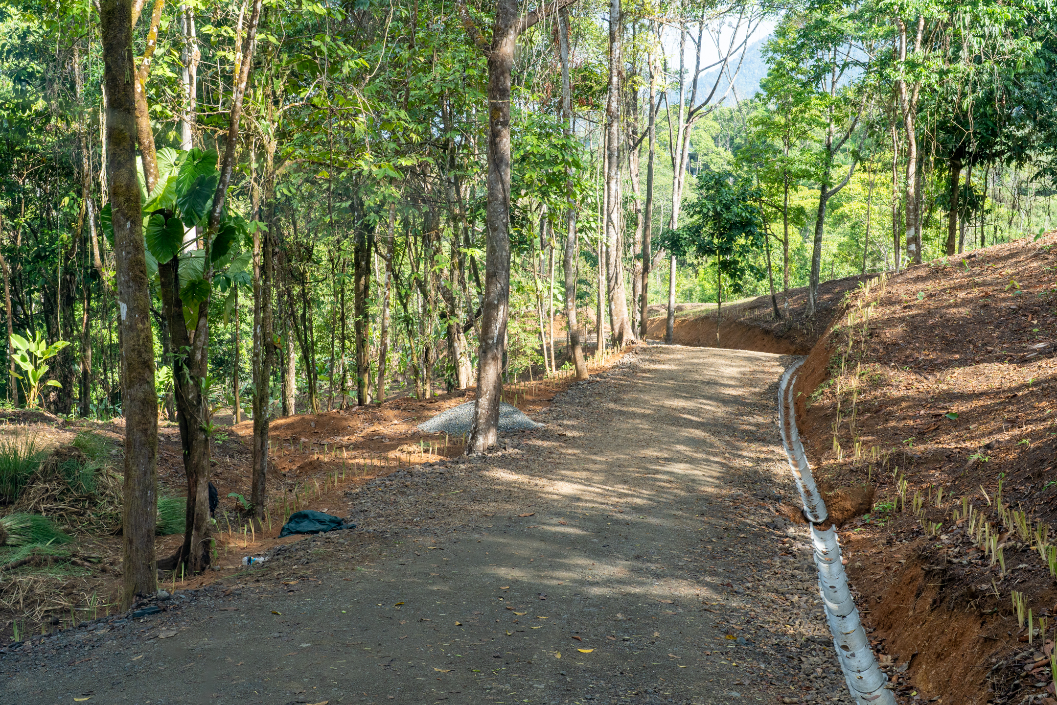 0 bed Land For Sale in Dominical, Puntarenas - thumb 8