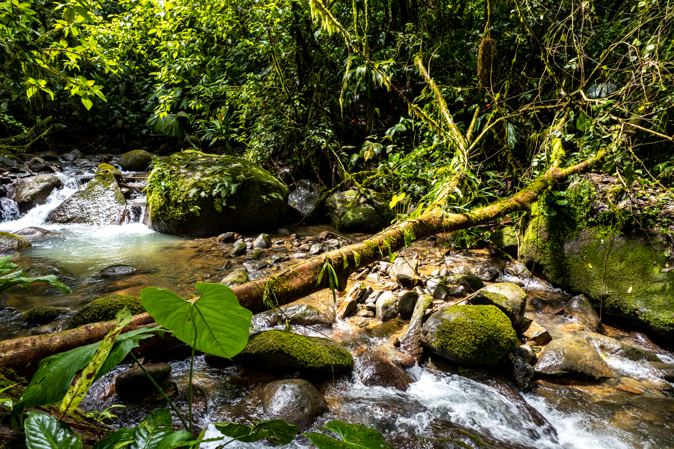 0 bed Land For Sale in Dominical, Puntarenas - thumb 11